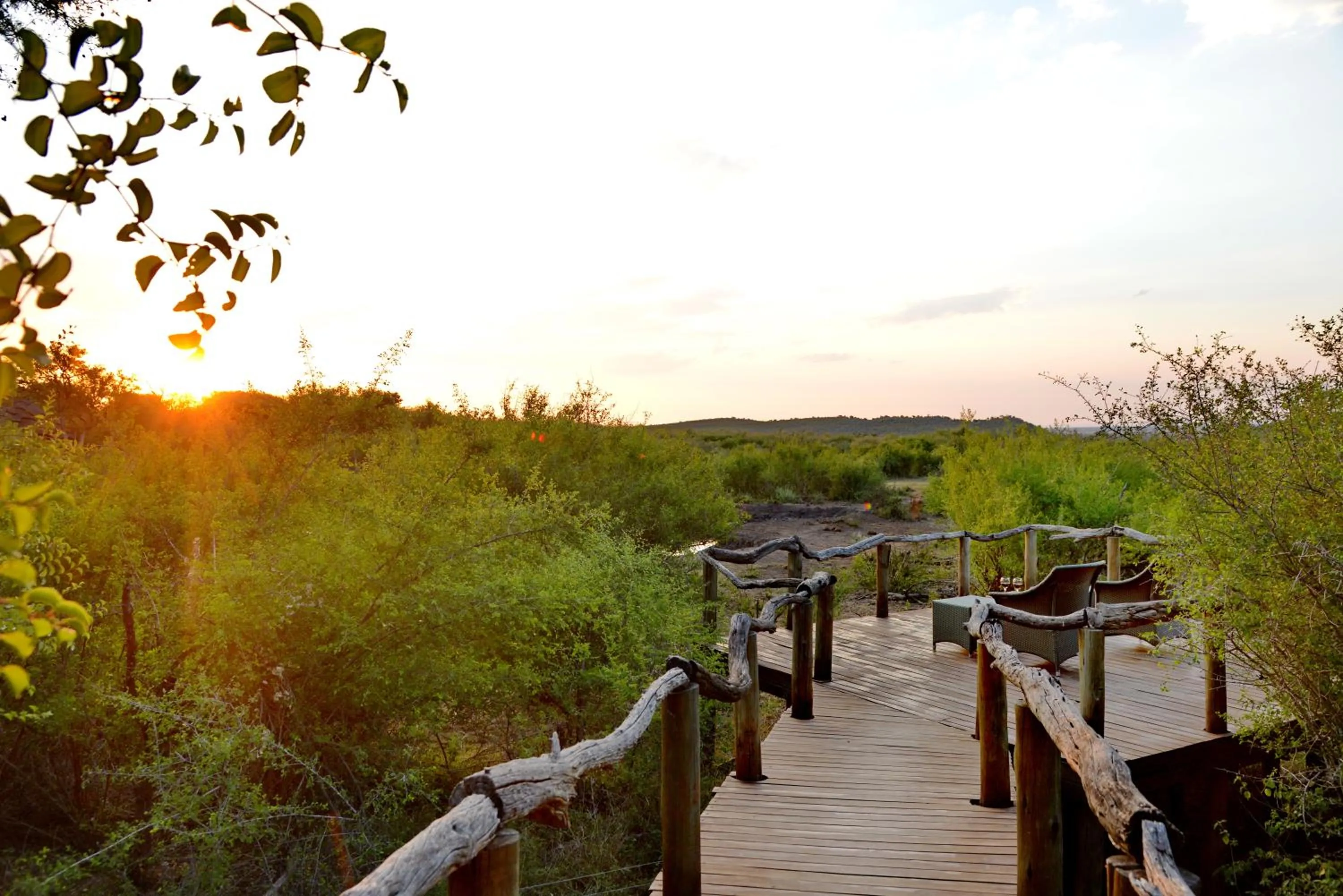 Balcony/Terrace in Motswiri Private Safari Lodge