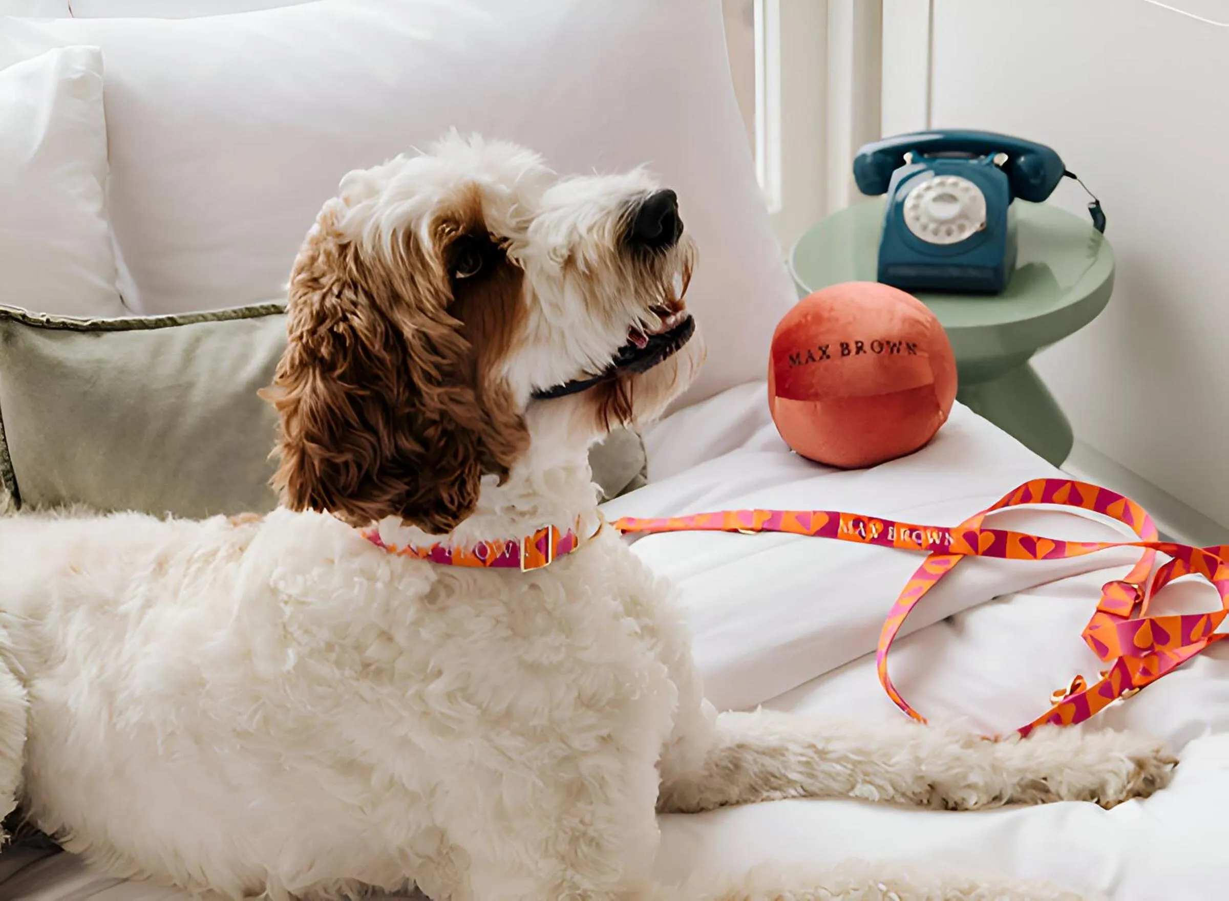Property logo or sign in Max Brown Hotel Museum Square, part of Sircle Collection