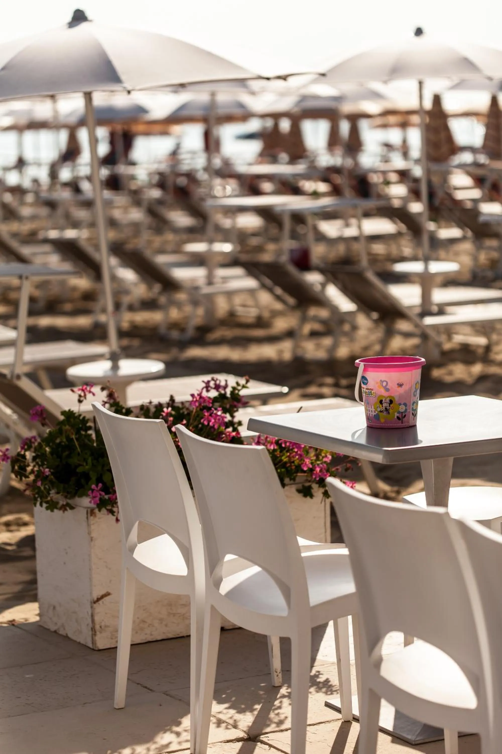 Beach in Kristalex Pet Family Hotel