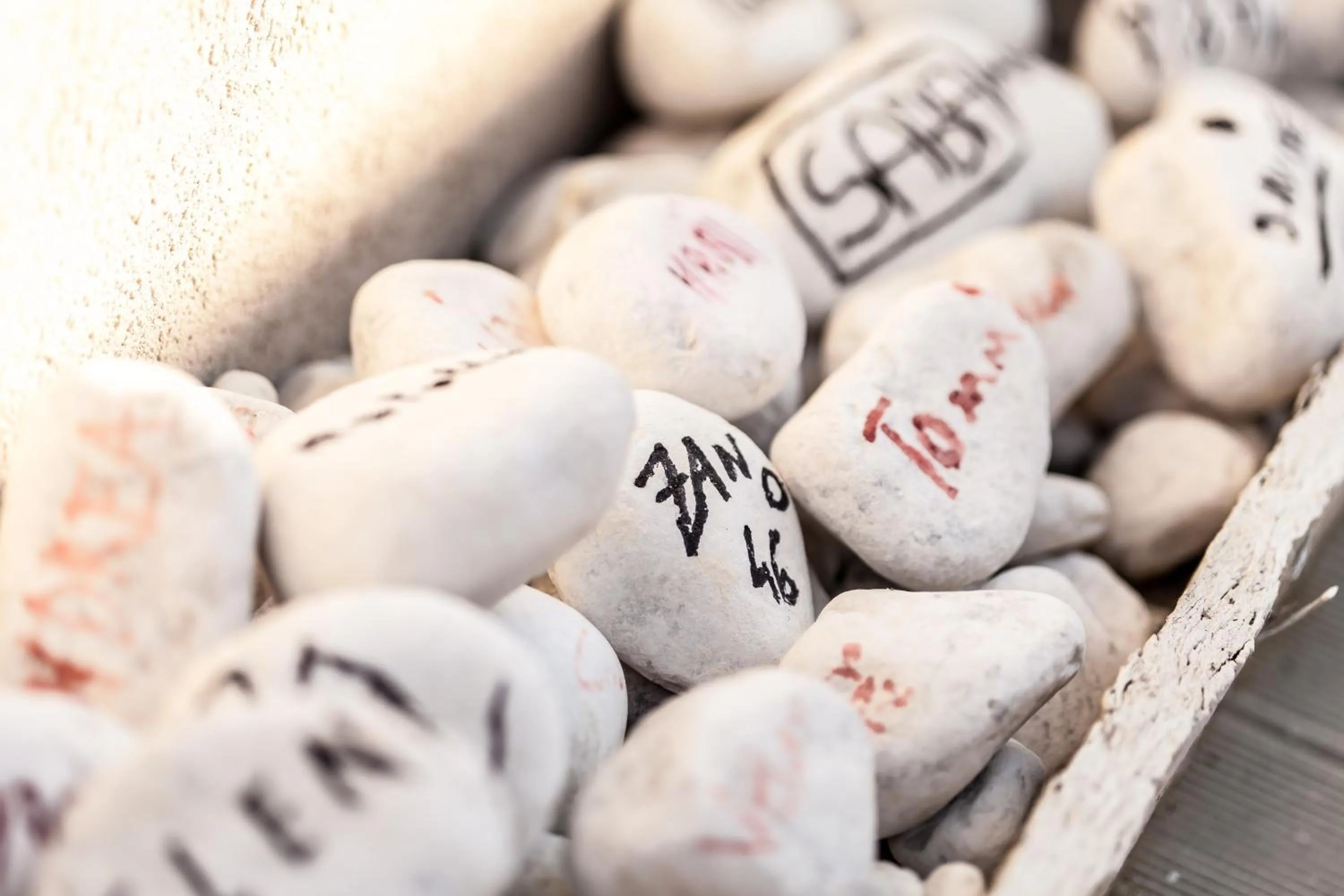 Decorative detail in Kristalex Pet Family Hotel