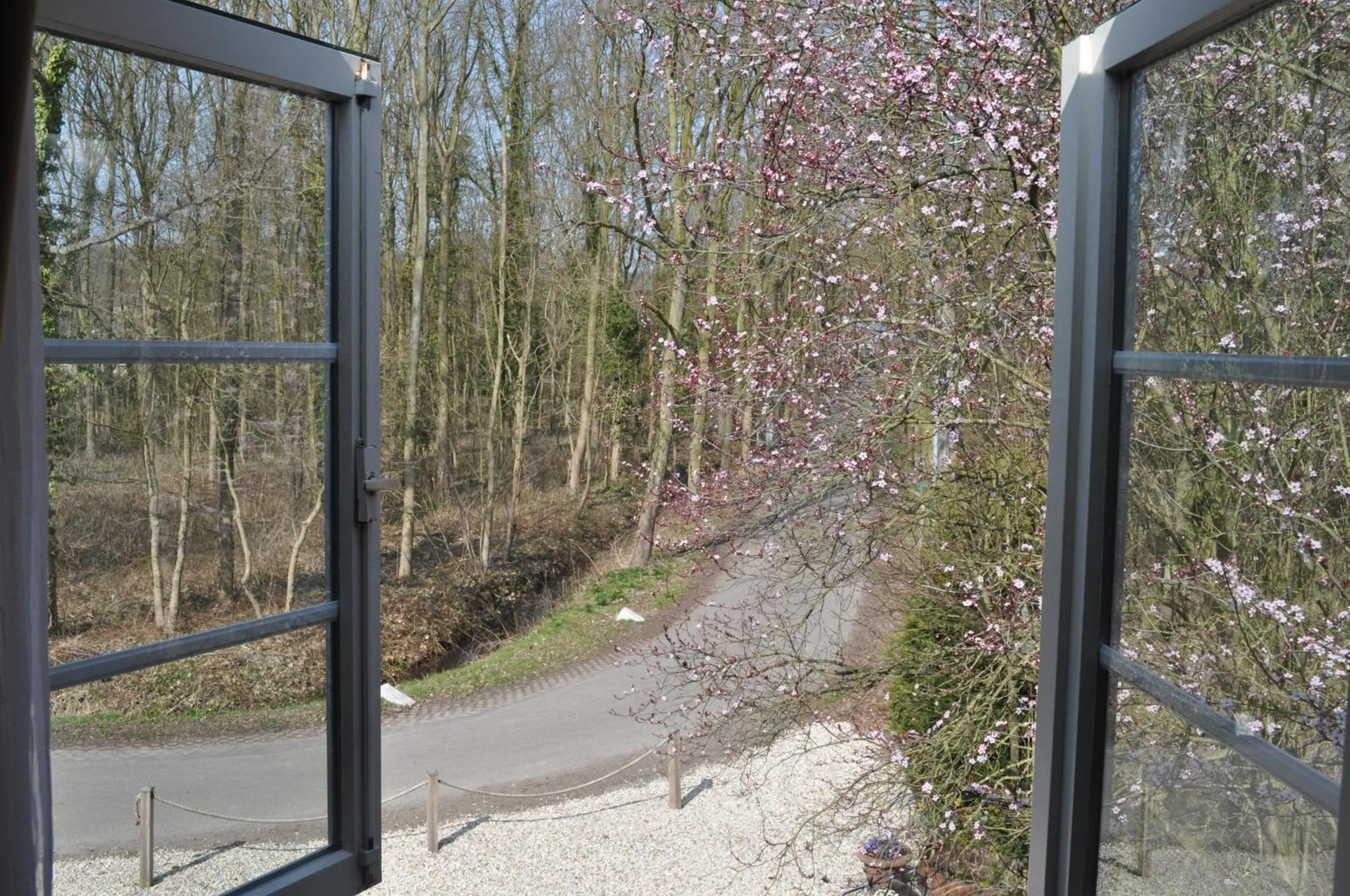 View (from property/room) in Hotel Randduin