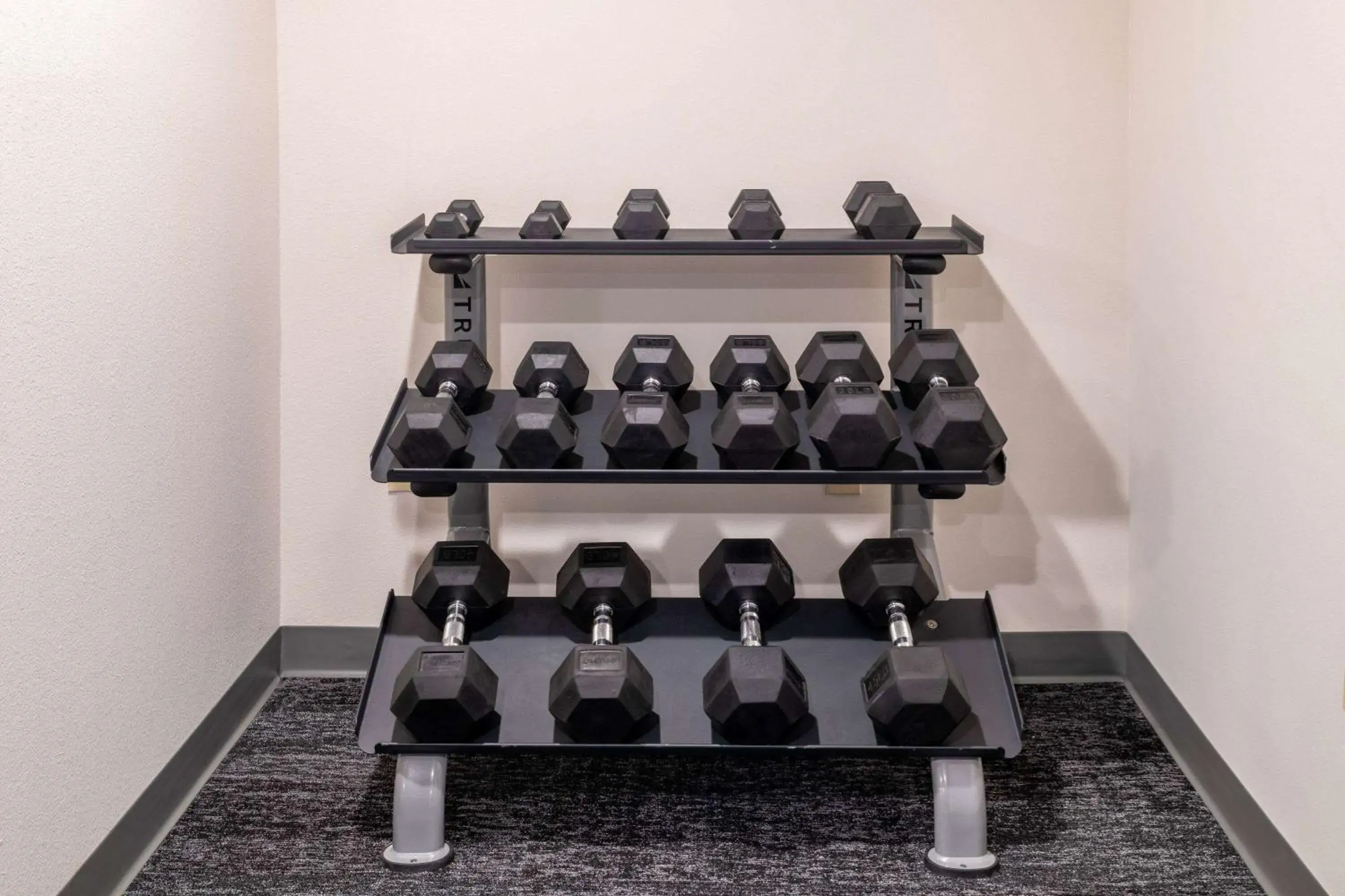 Fitness centre/facilities in TRYP by Wyndham Tallahassee North I-10 Capital Circle Fitness centre/facilities in TRYP by Wyndham Tallahassee North I-10 Capital Circle