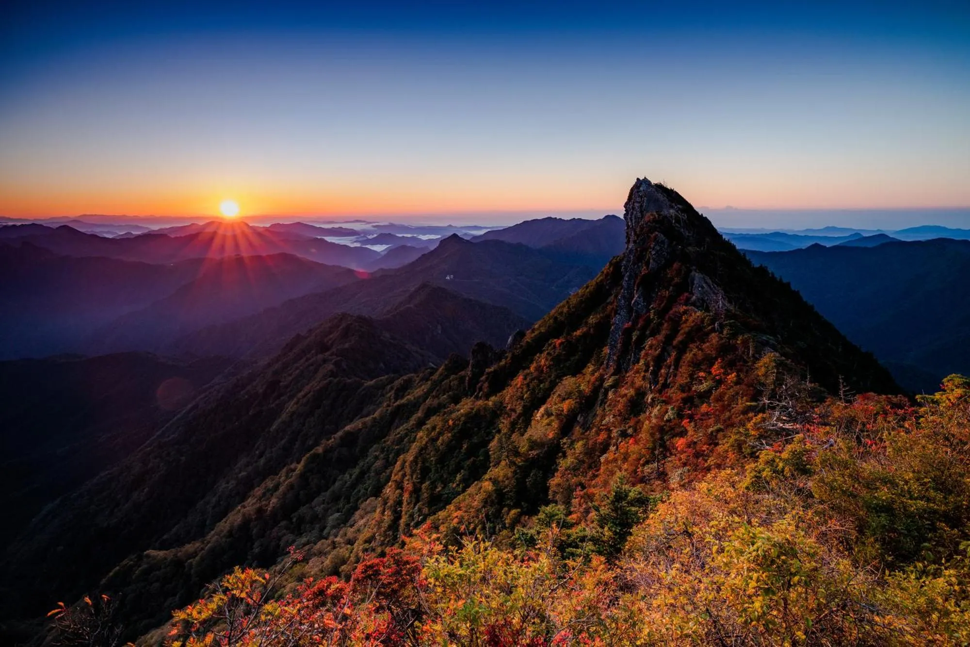 Nearby landmark in Hotel HORAIRE Saijo
