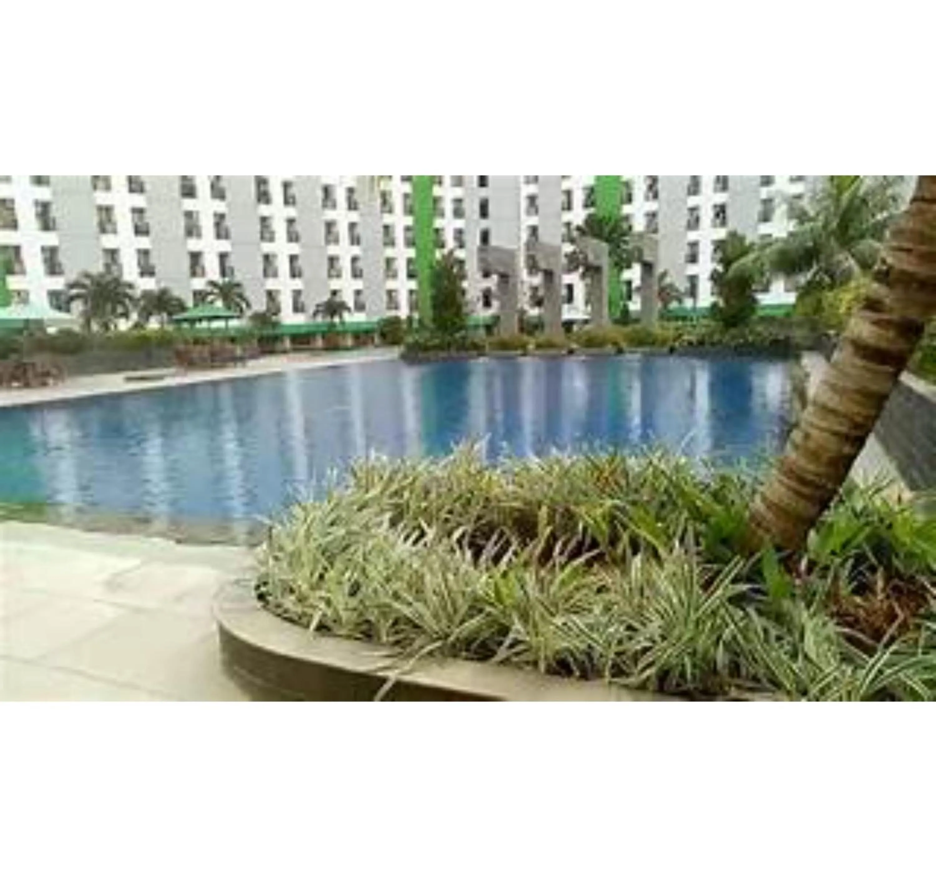 Swimming pool in OYO Life 93374 Andira Inn
