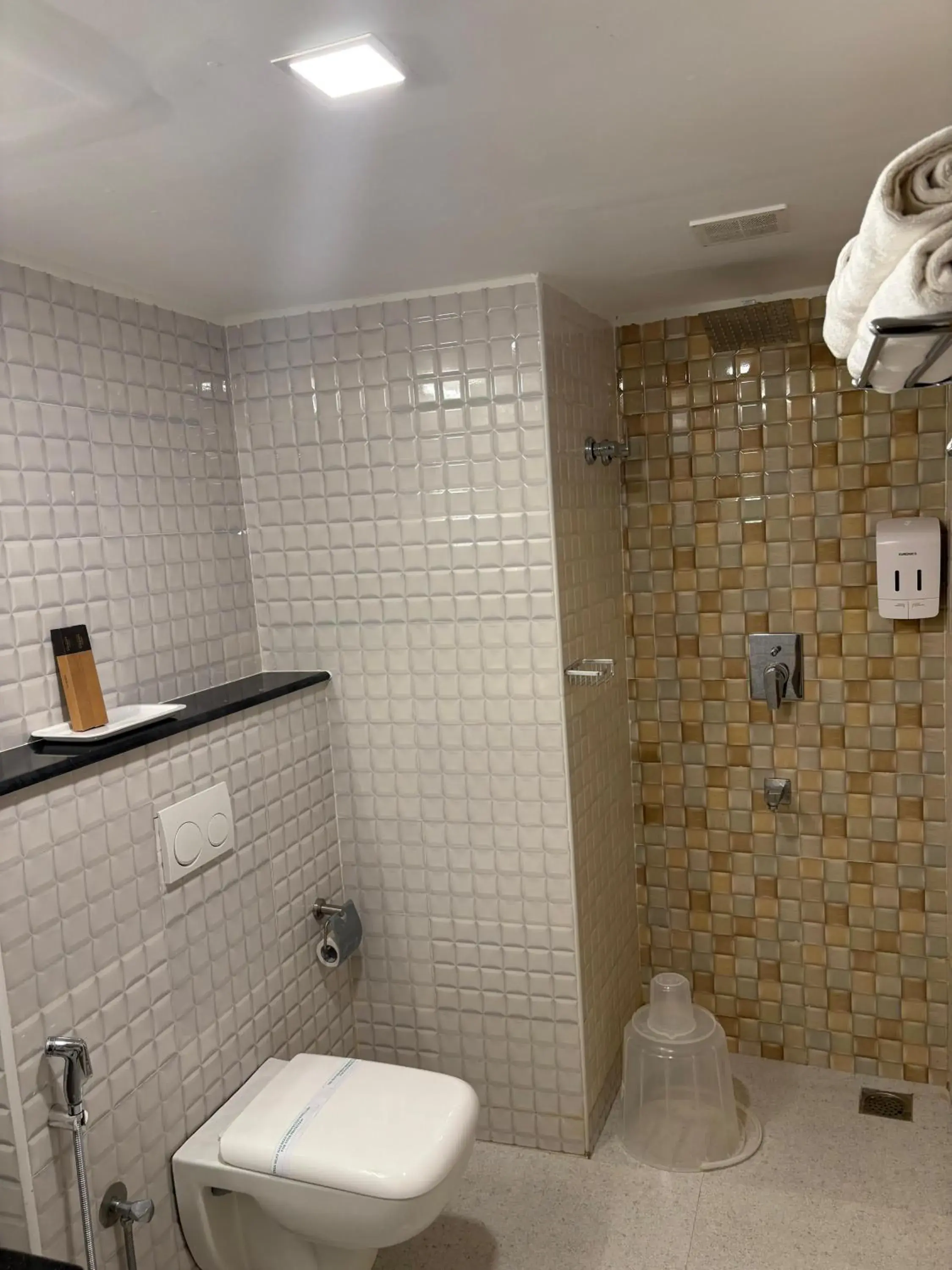 Shower in Hotel Mangala Temple View Shower in Hotel Mangala Temple View