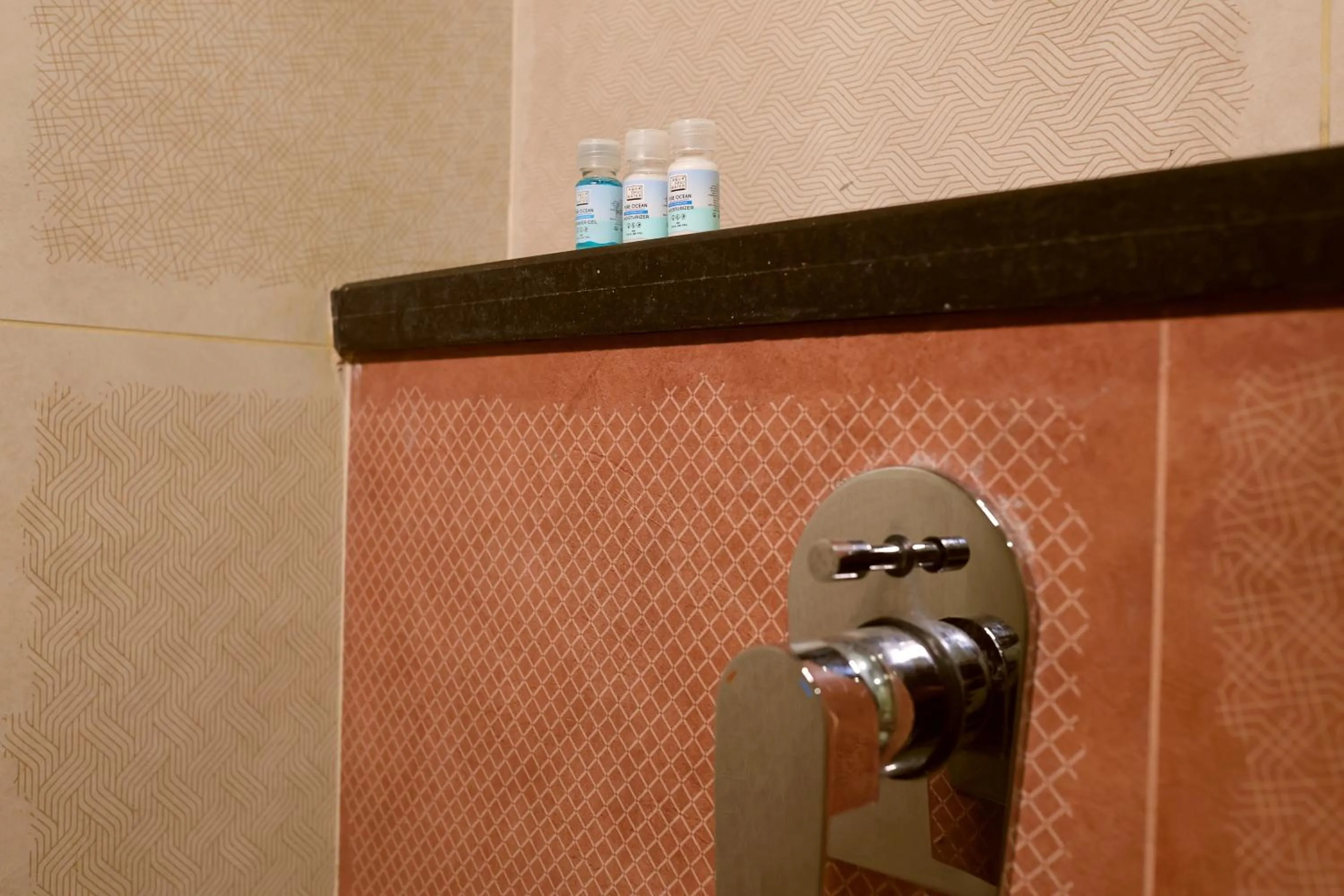 Bathroom in The Blue Vista