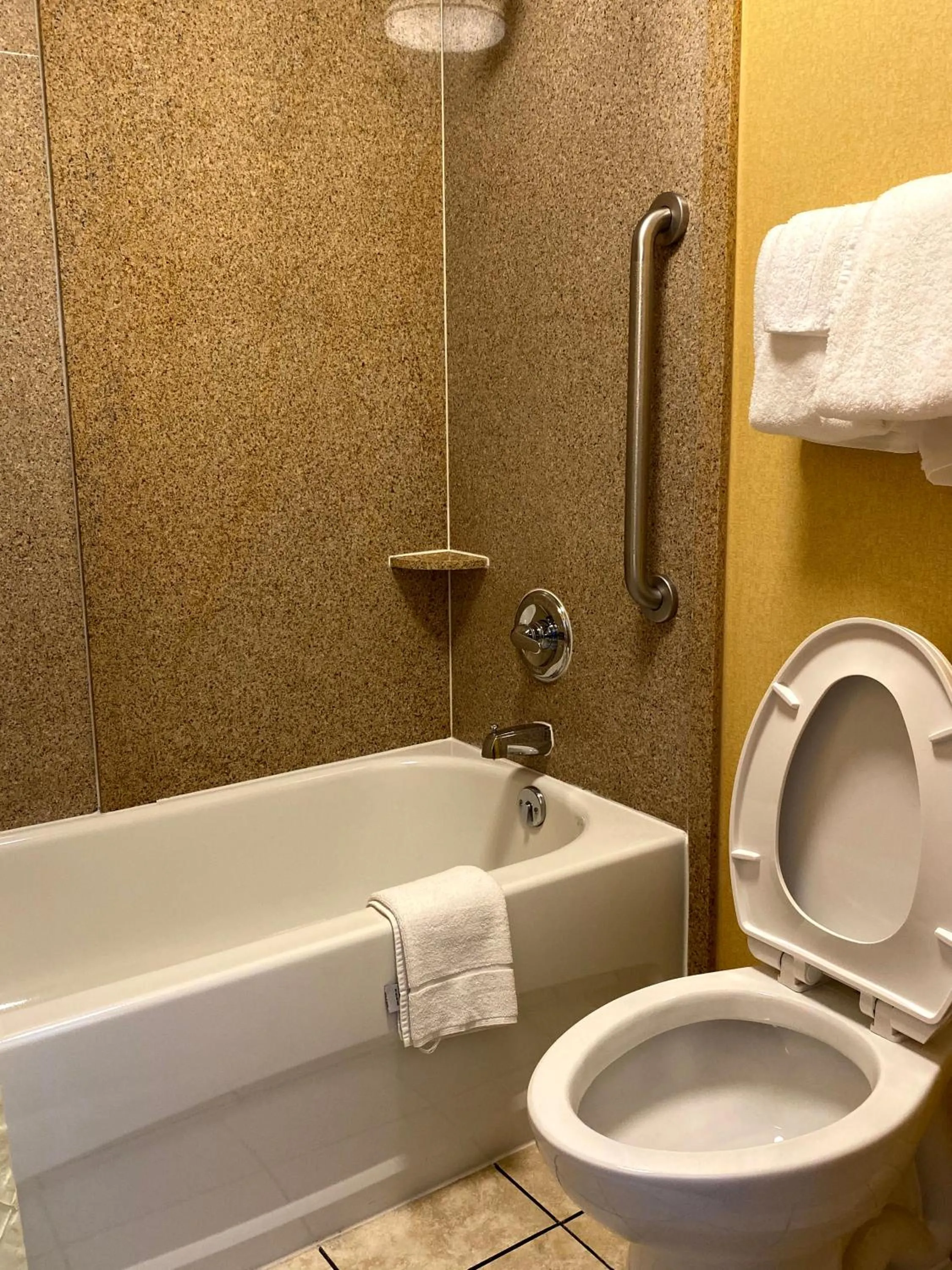 Toilet in Deluxe Inn - Fayetteville I-95