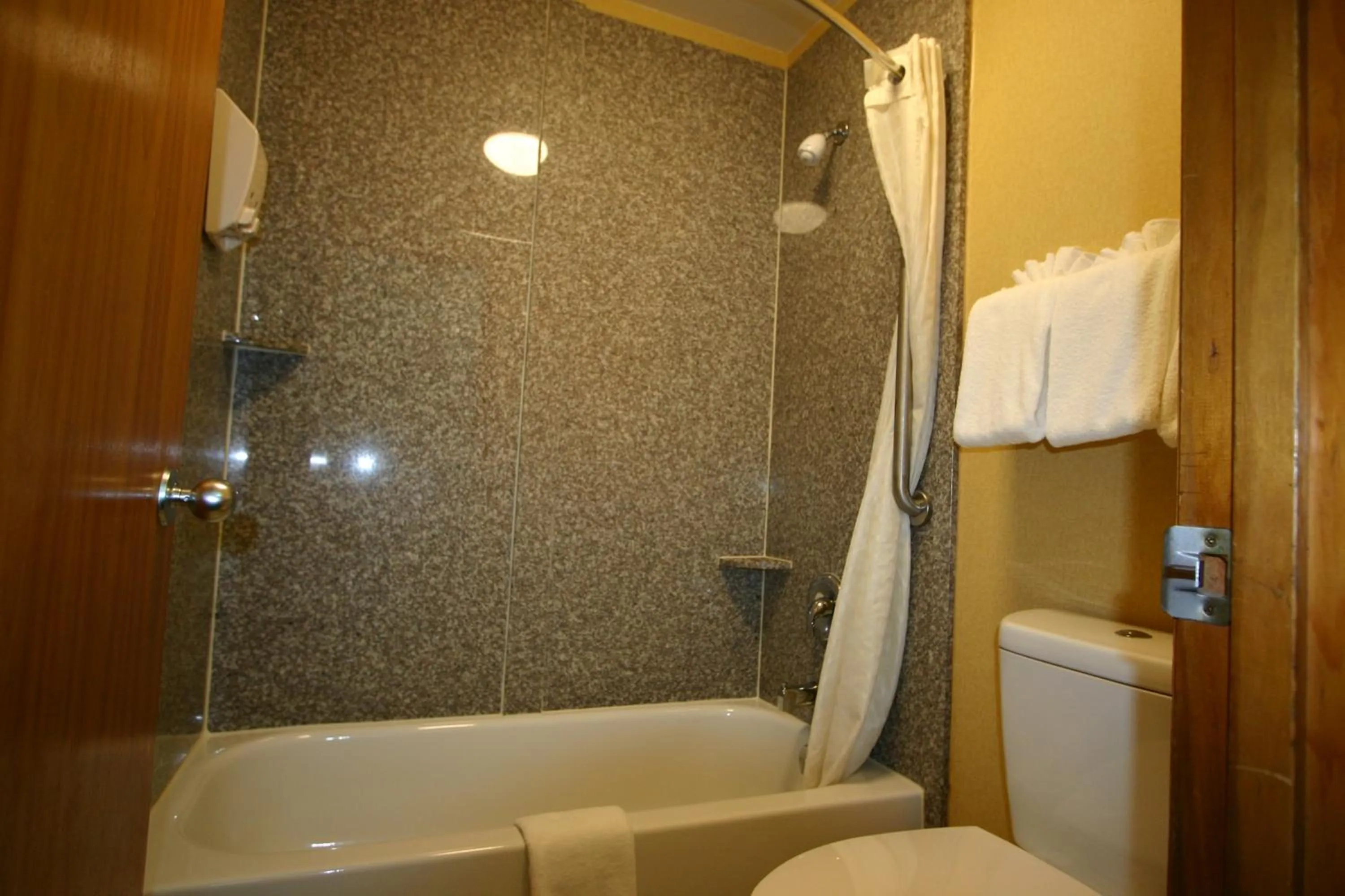 Shower in Deluxe Inn - Fayetteville I-95