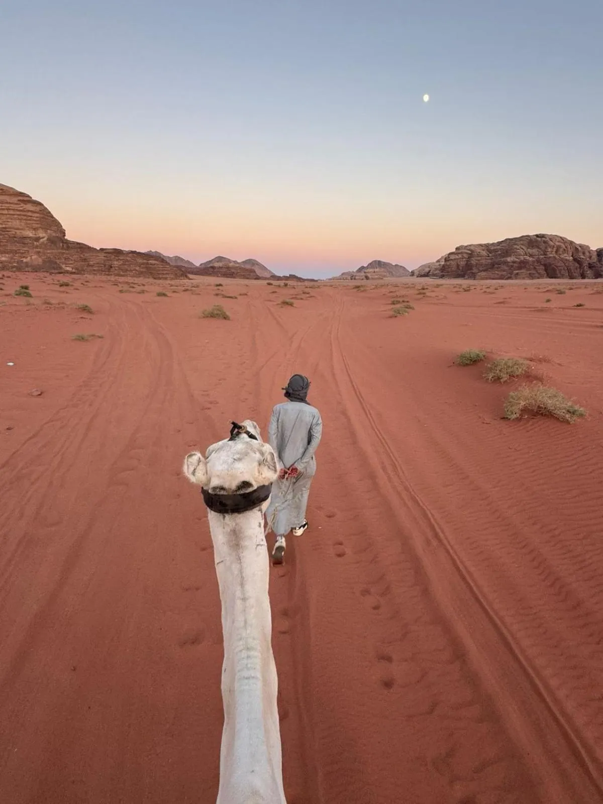 Property building in Valley Resort