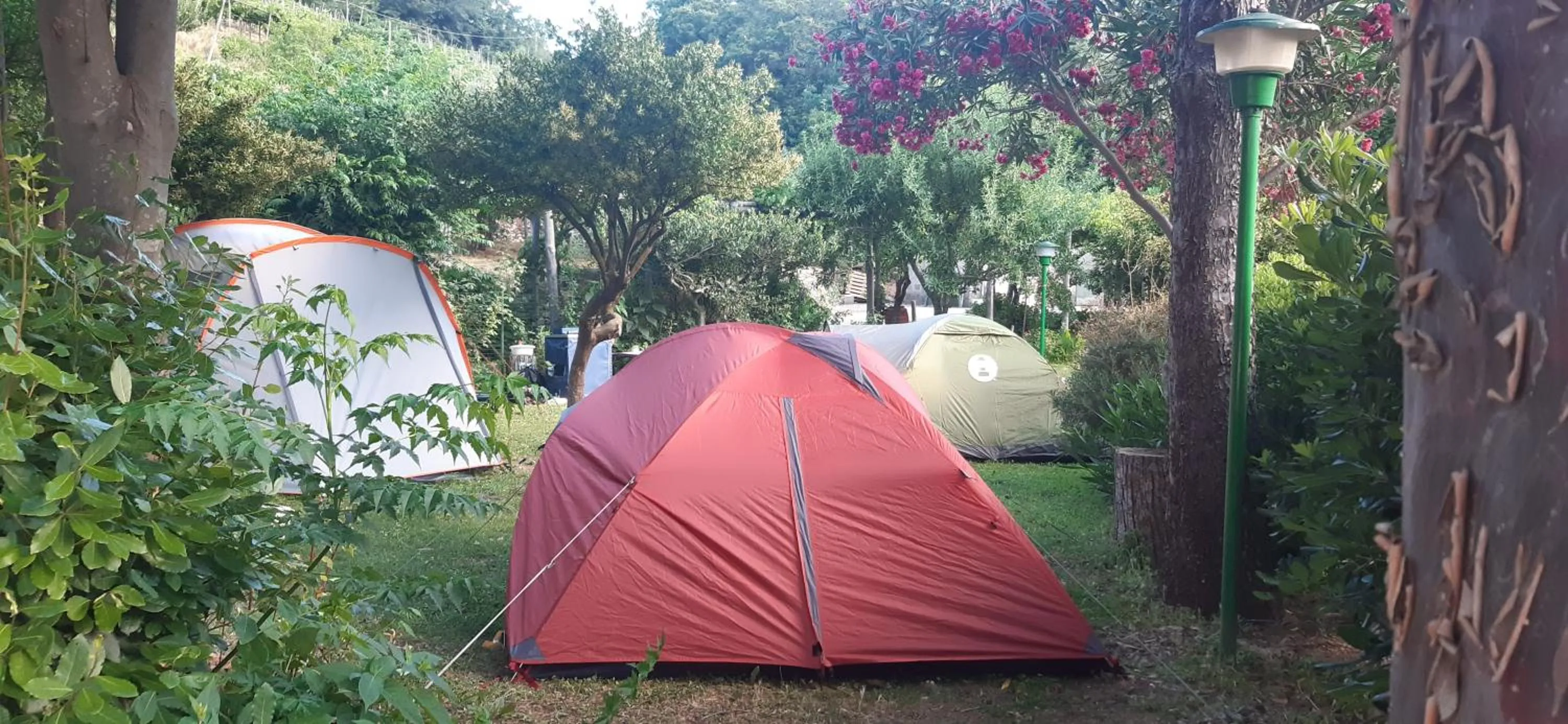 Activities in Agriturismo Mare e Monti