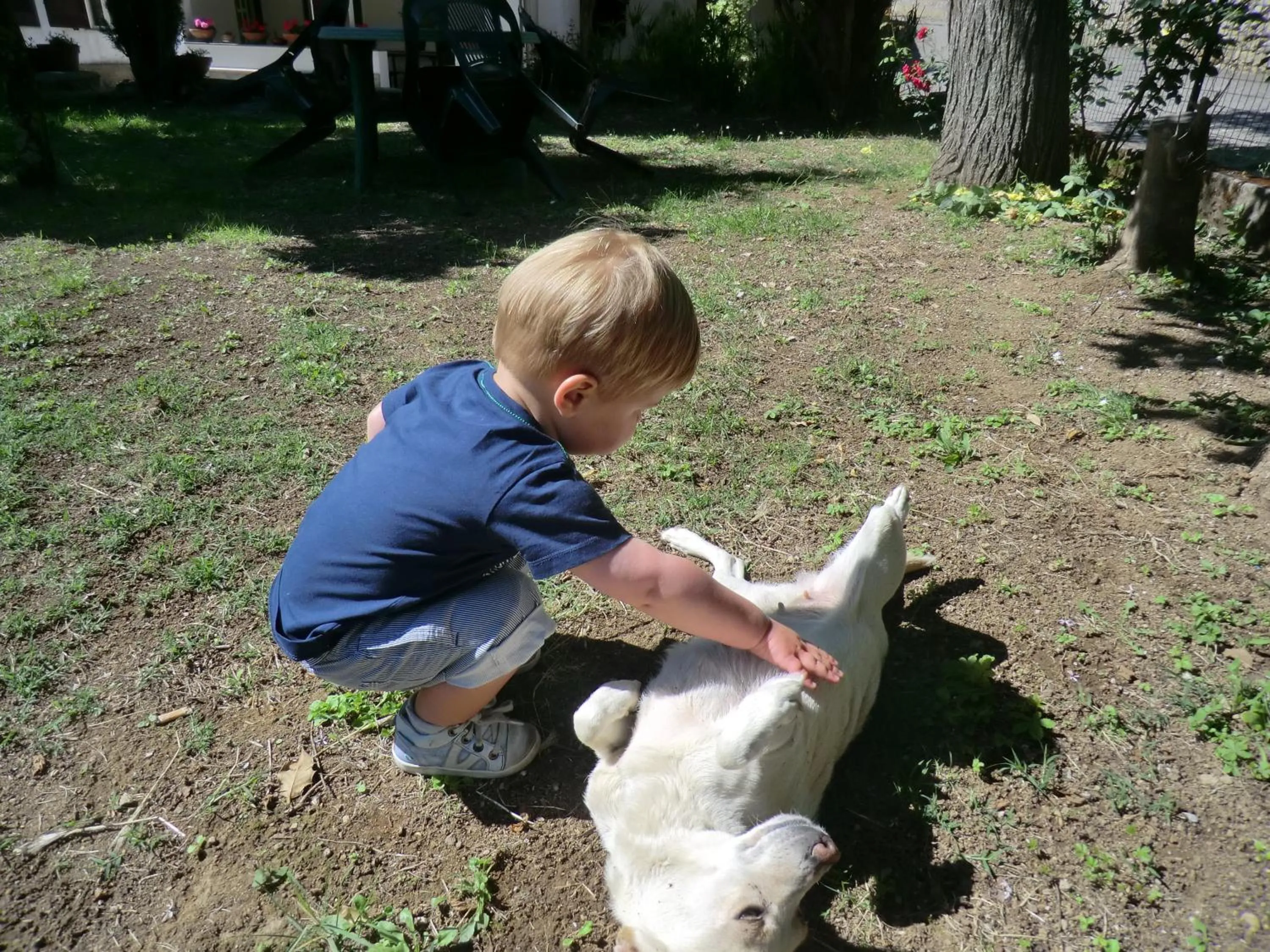Pets in Agriturismo Mare e Monti