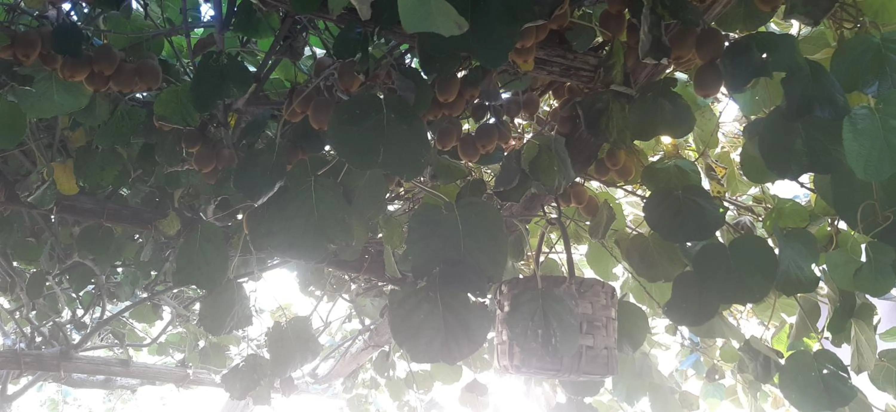 Food close-up in Agriturismo Mare e Monti