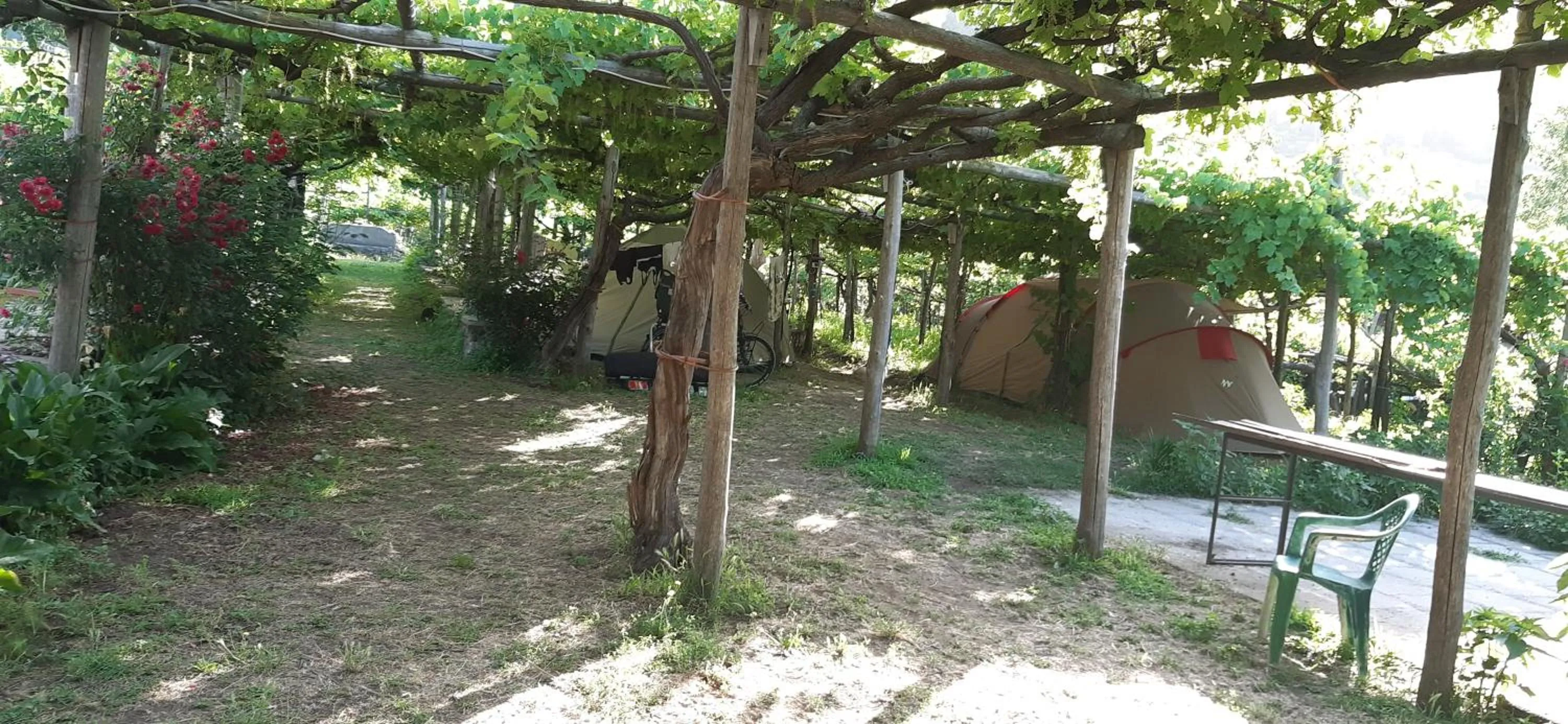 Activities in Agriturismo Mare e Monti