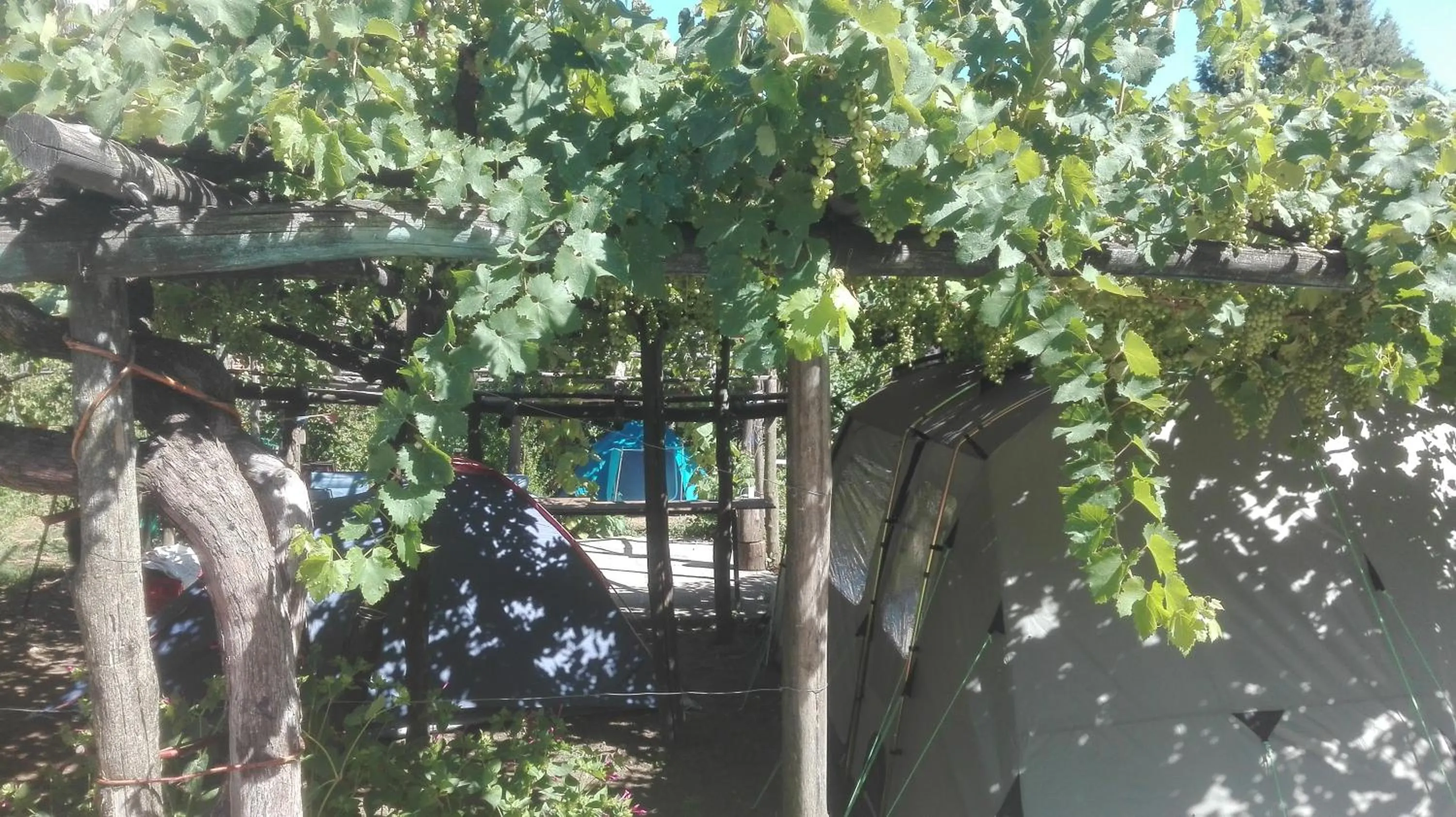 Activities in Agriturismo Mare e Monti