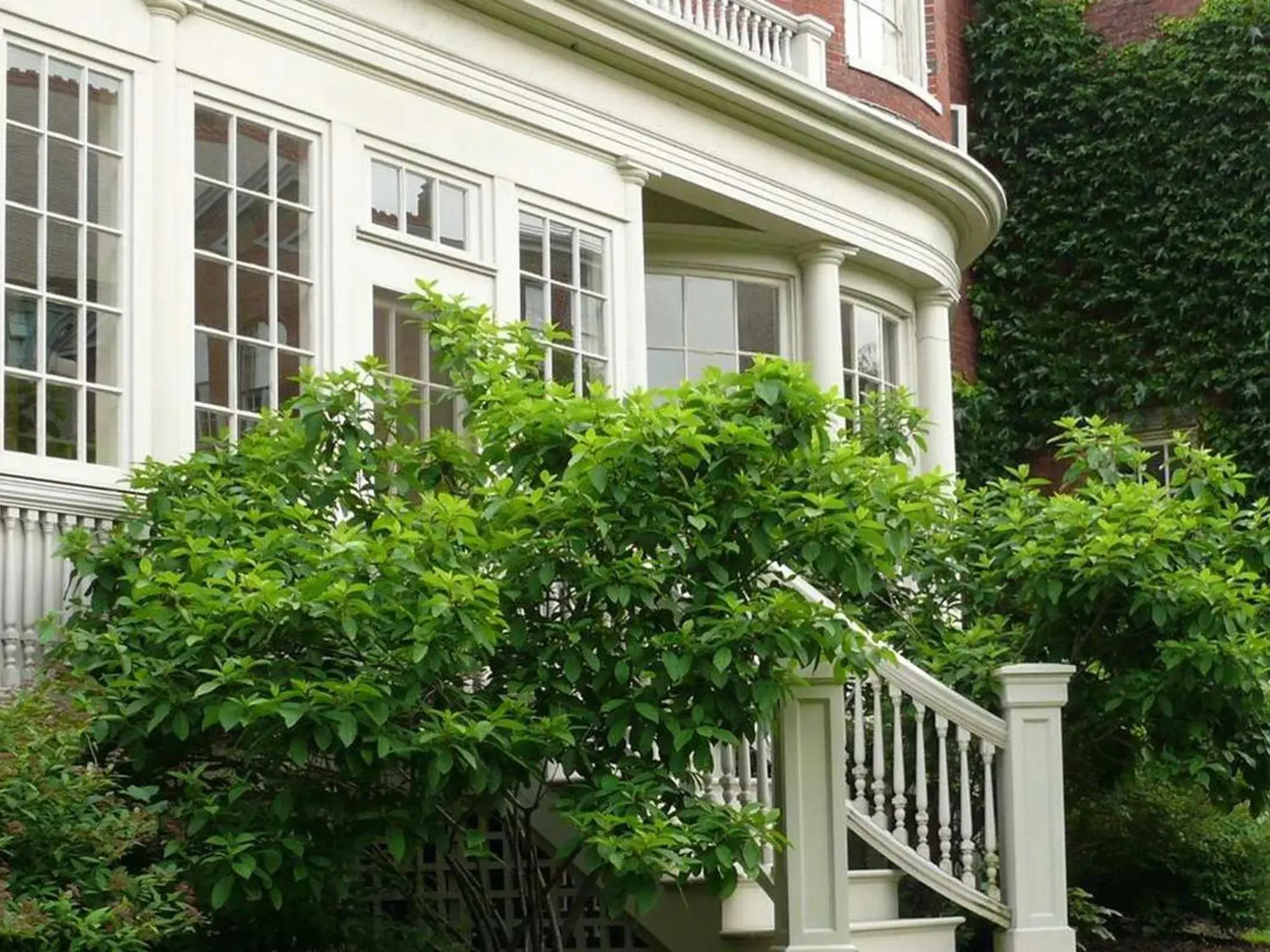 Facade/entrance in Blind Tiger Portland - Danforth Street Guest House Facade/entrance in Blind Tiger Portland - Danforth Street Guest House
