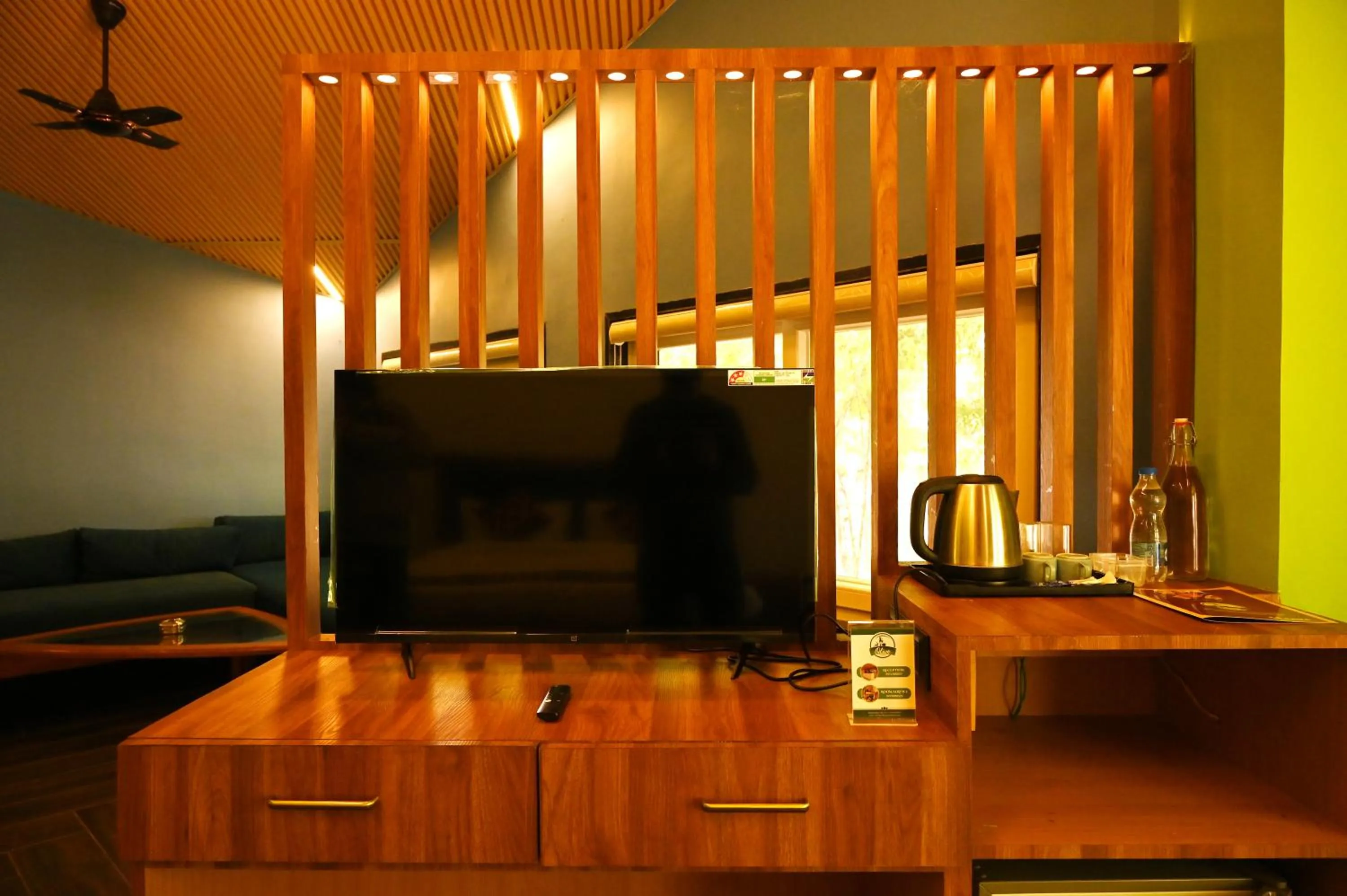 TV and multimedia in Olive