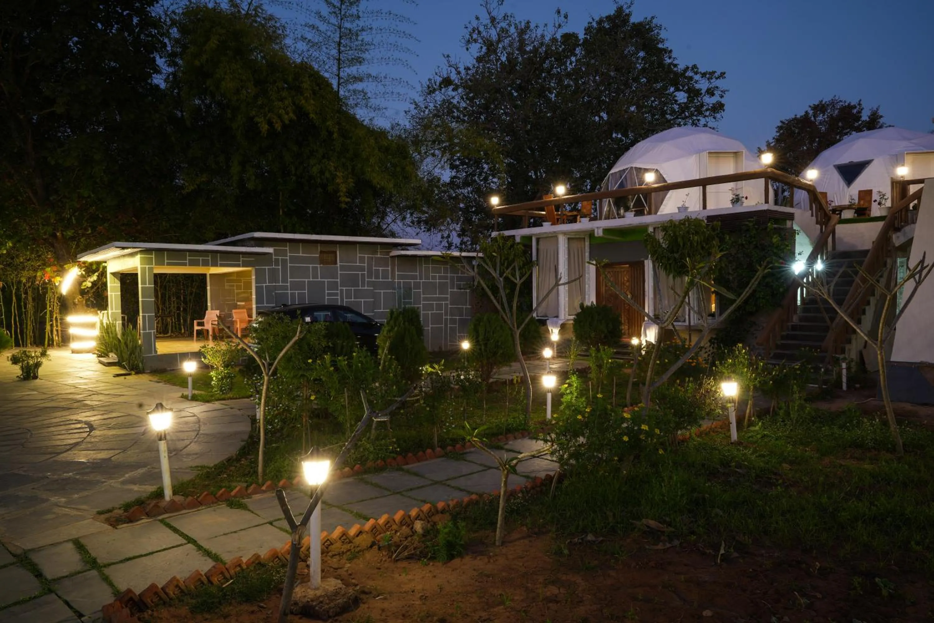 Garden view in Olive