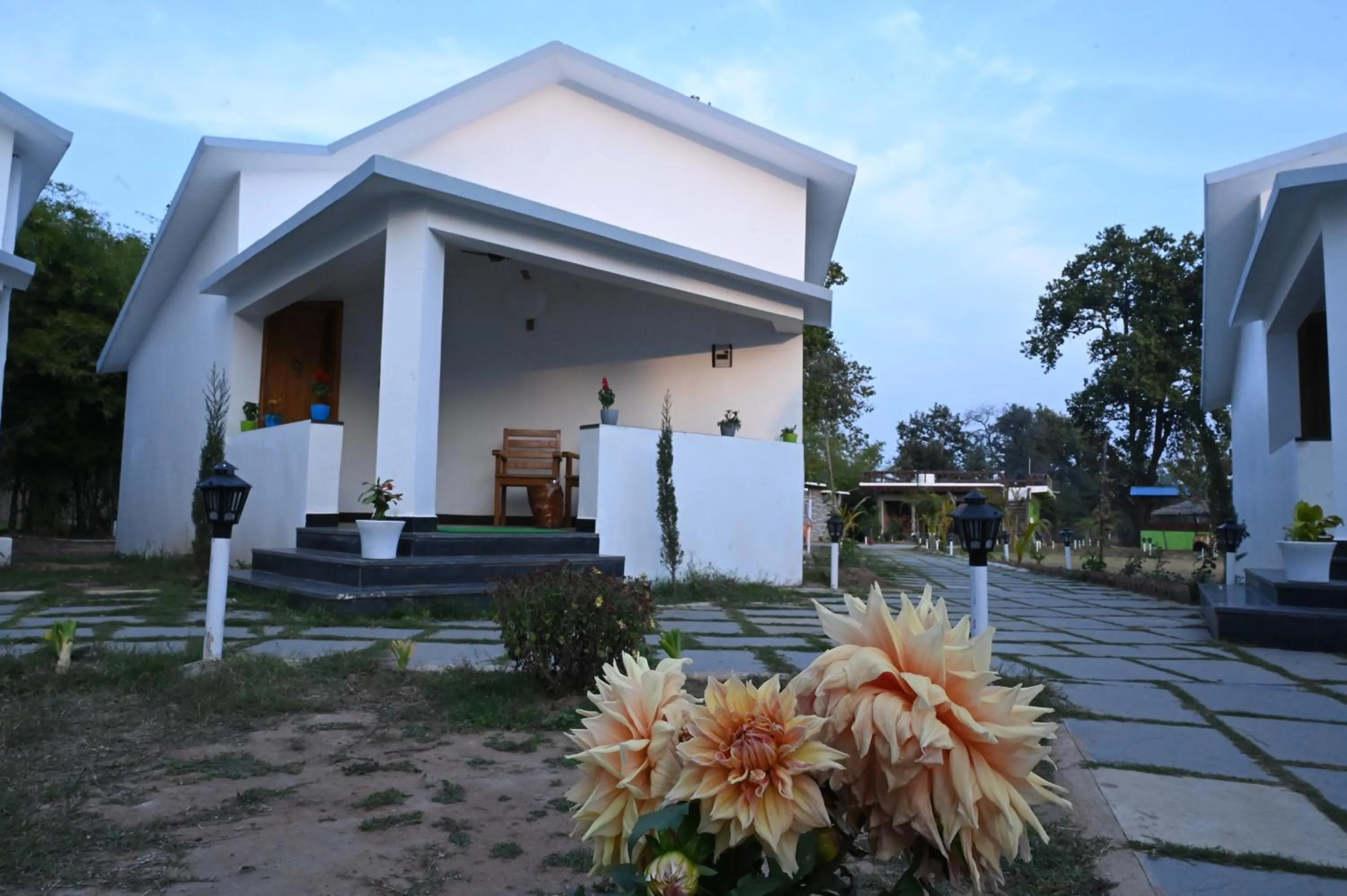 View (from property/room) in Olive