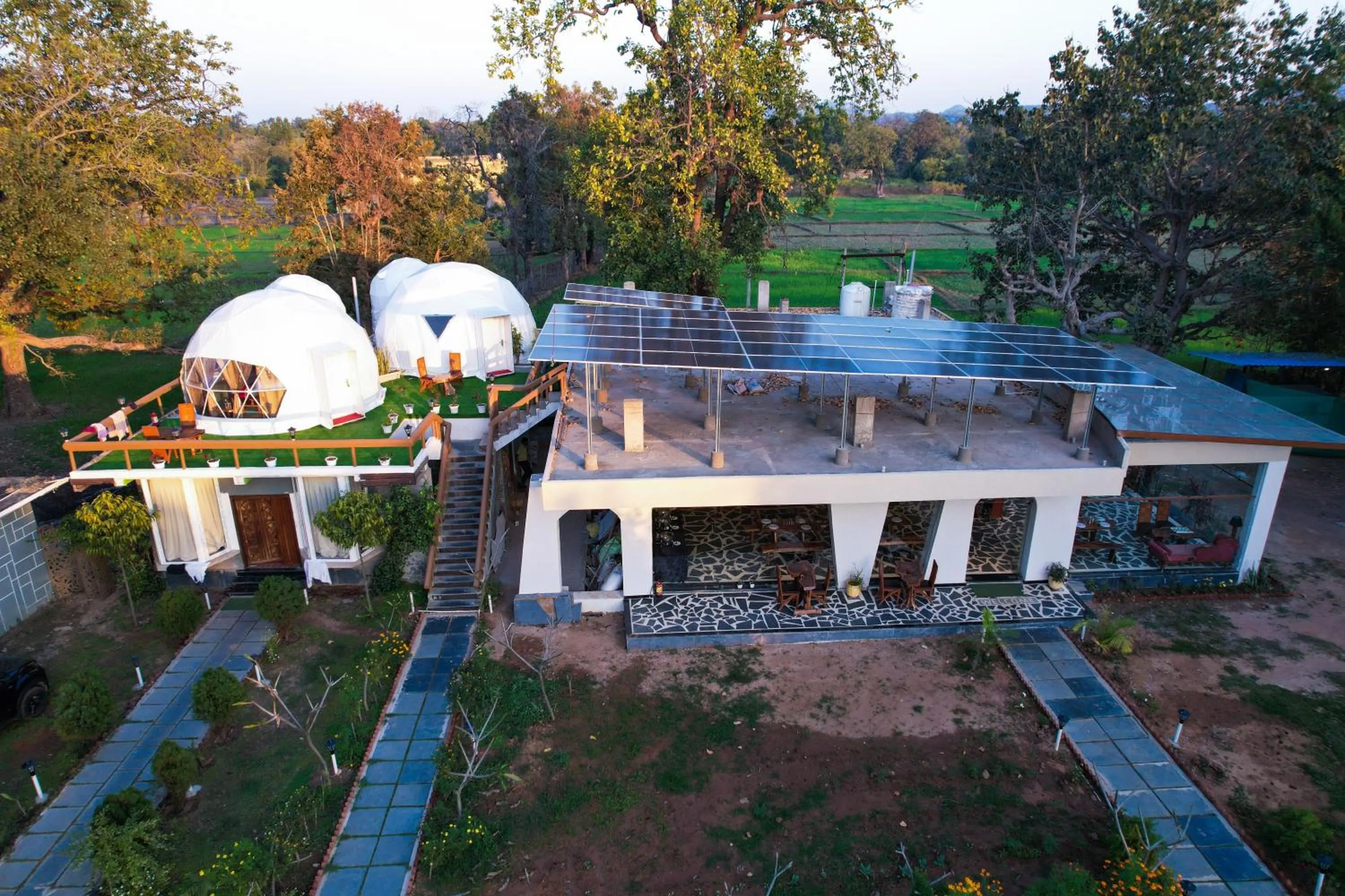 Bird's eye view in Olive