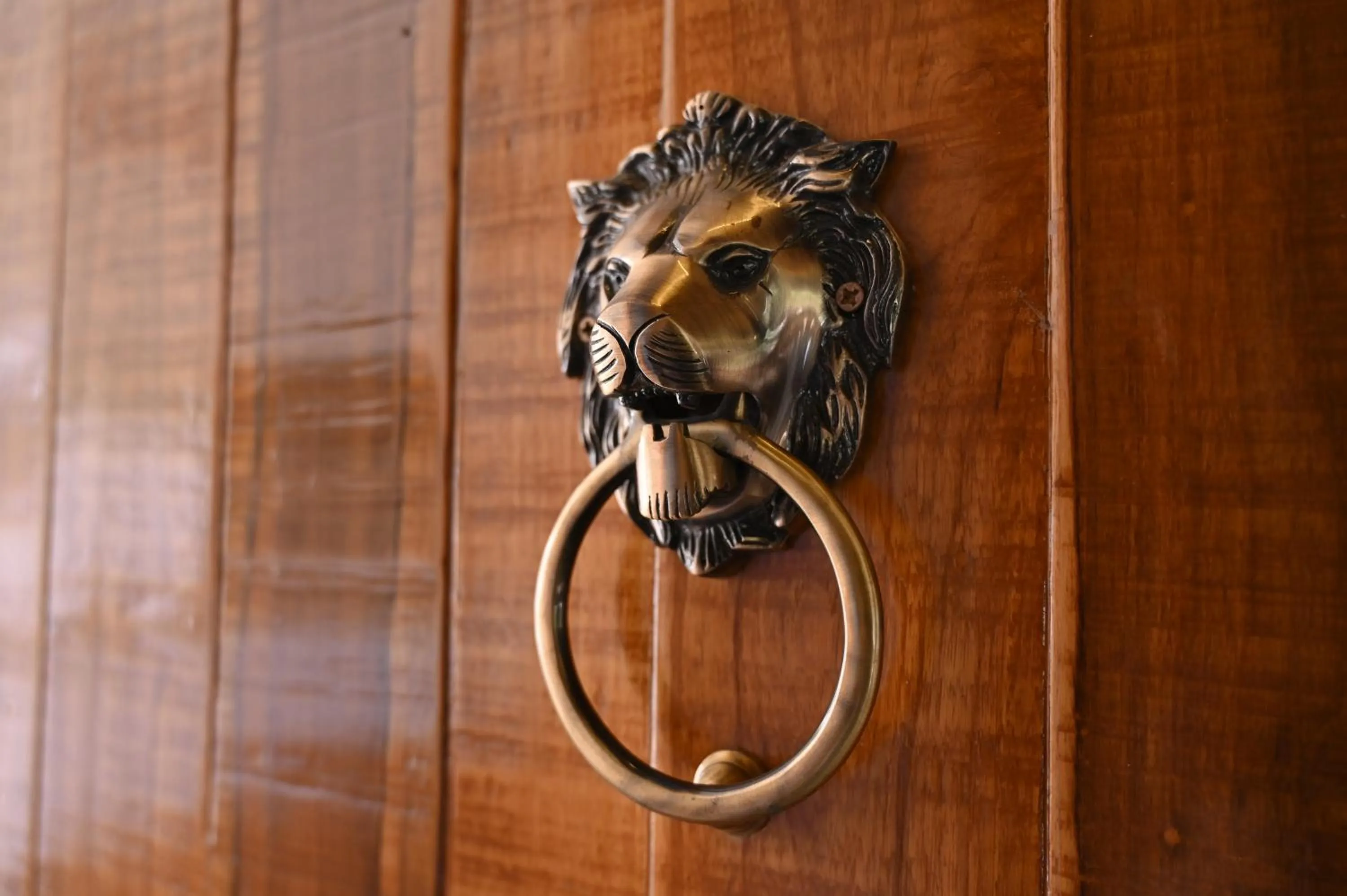 Decorative detail in Olive