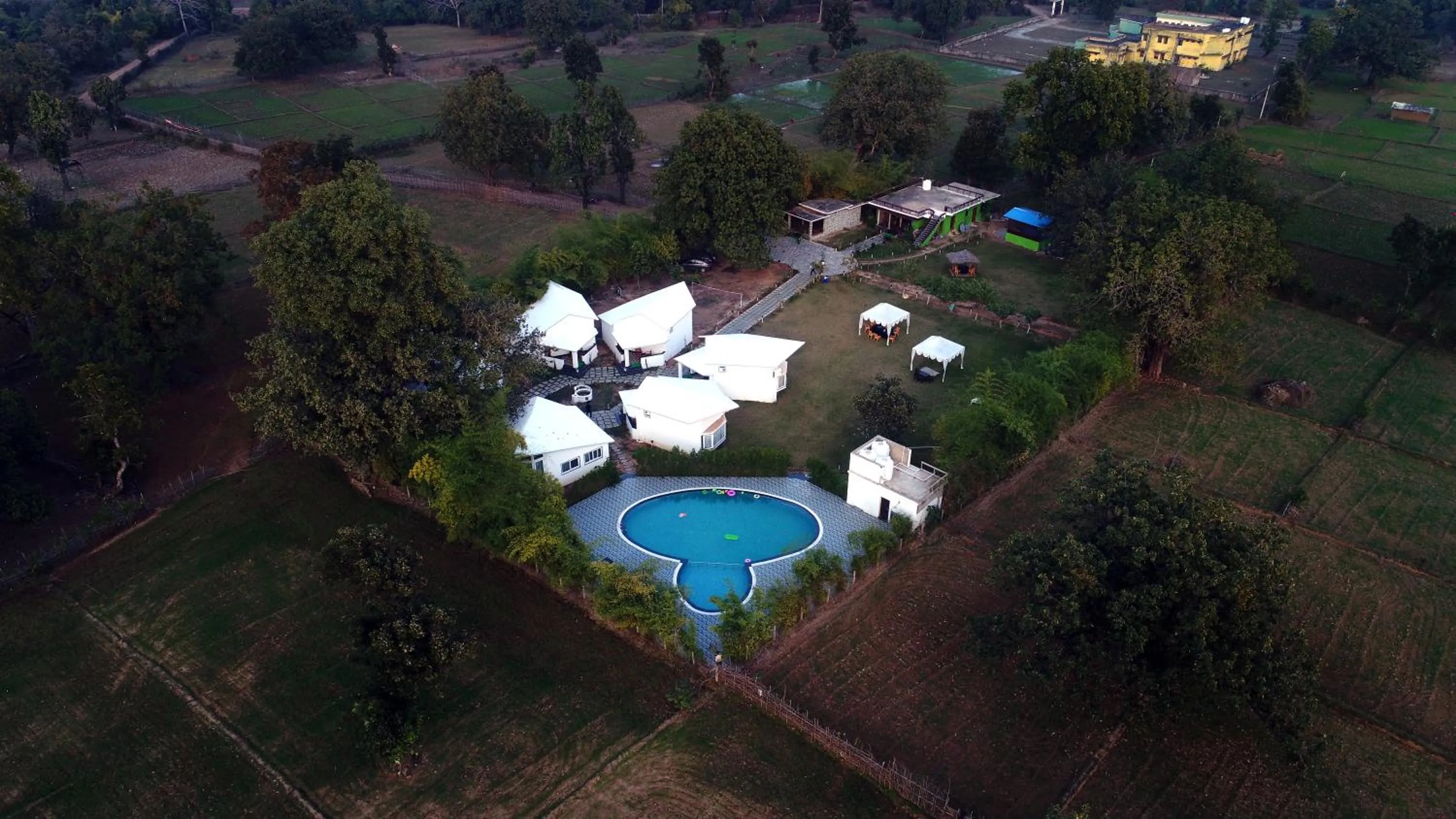 Bird's eye view in Olive