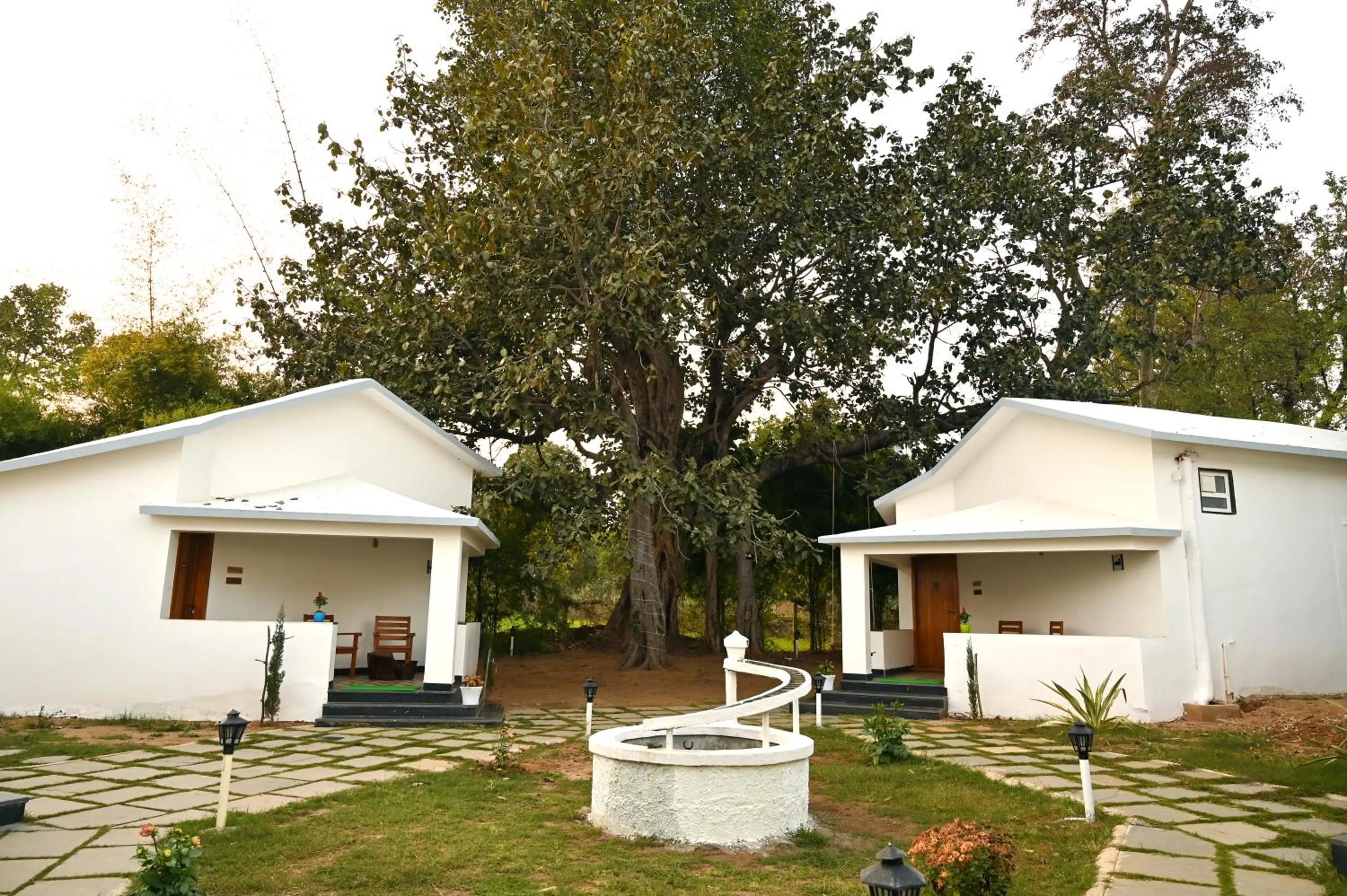 Property building in Olive