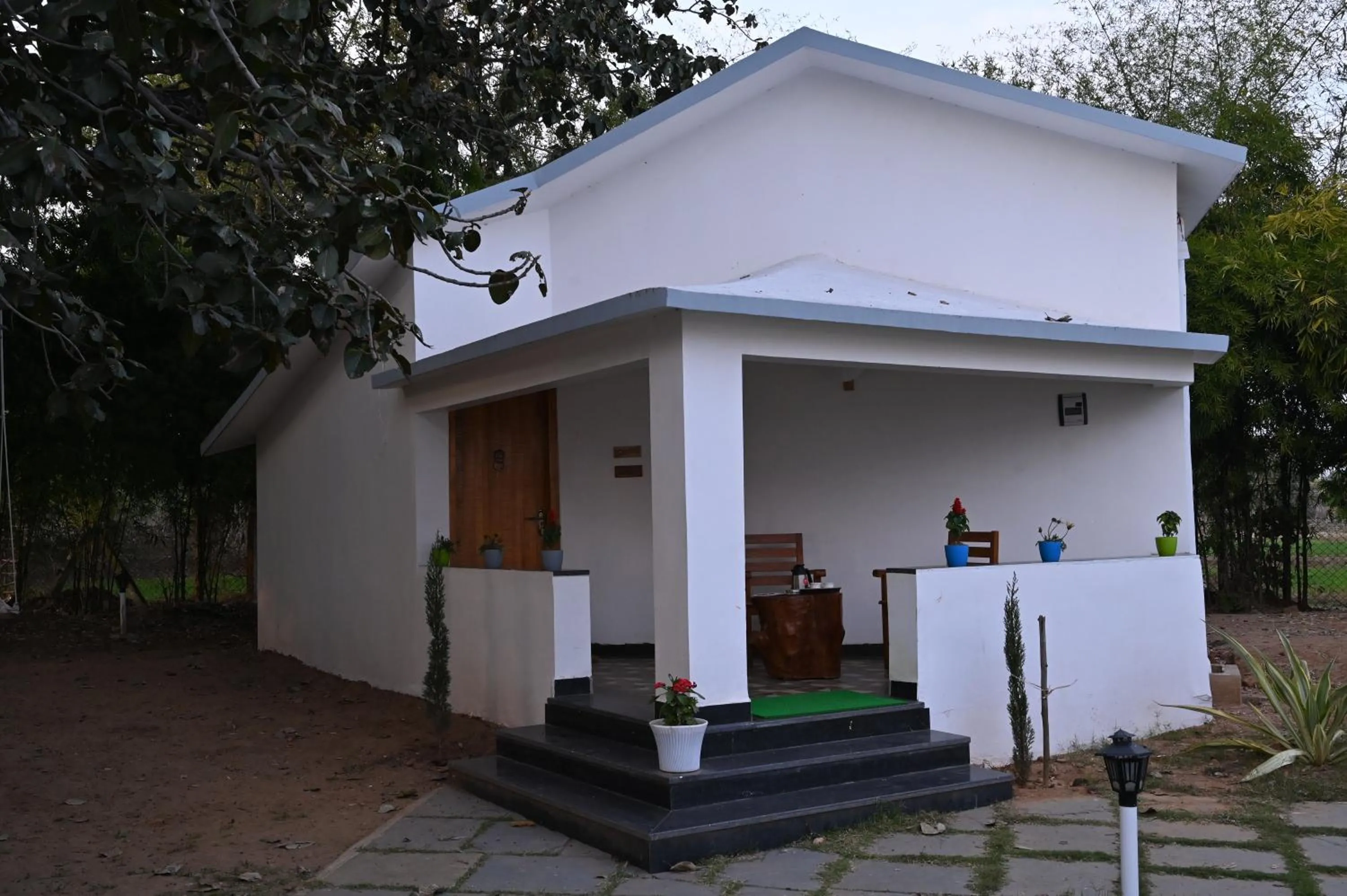 Property building in Olive