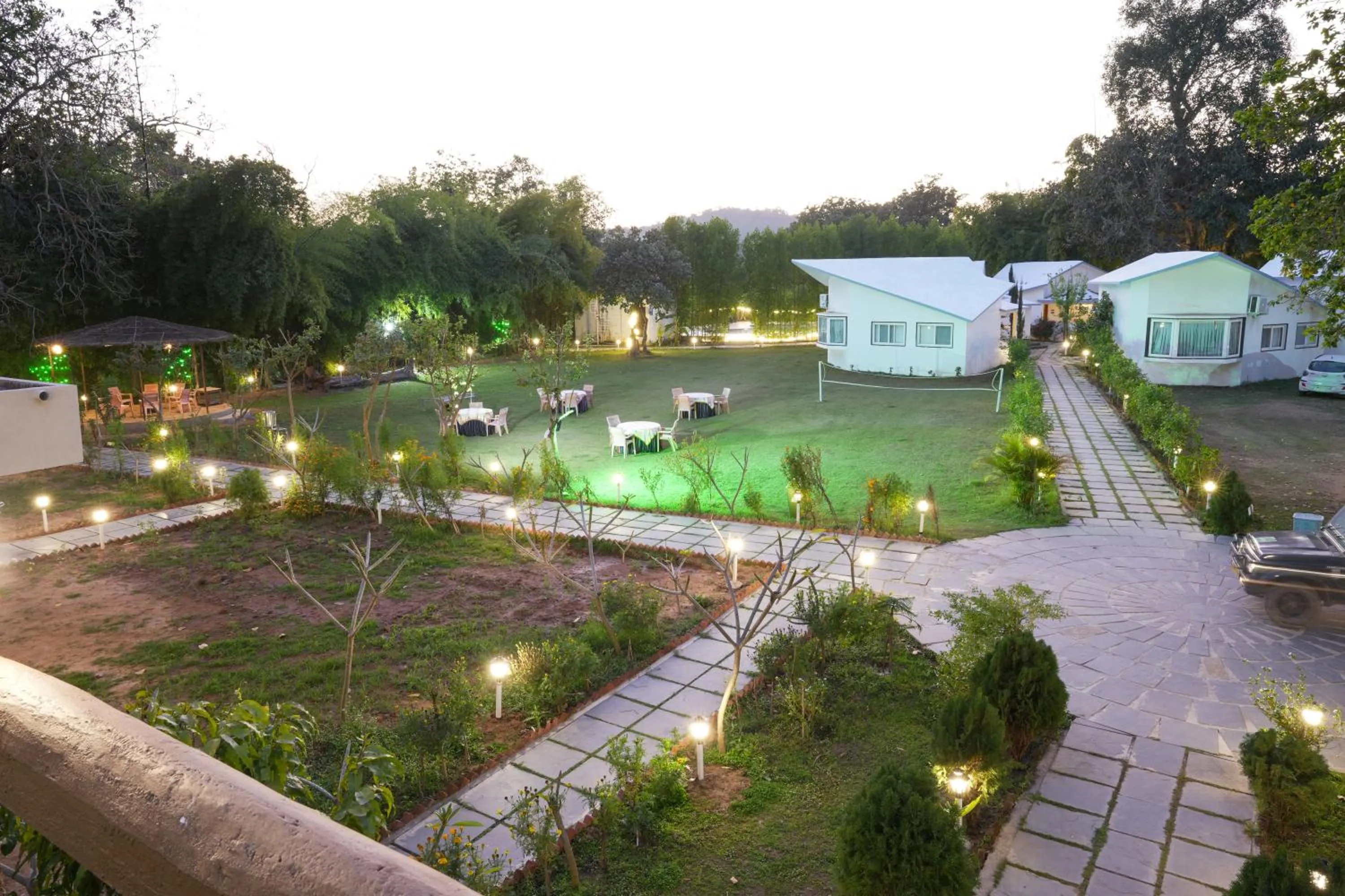 Natural landscape in Olive