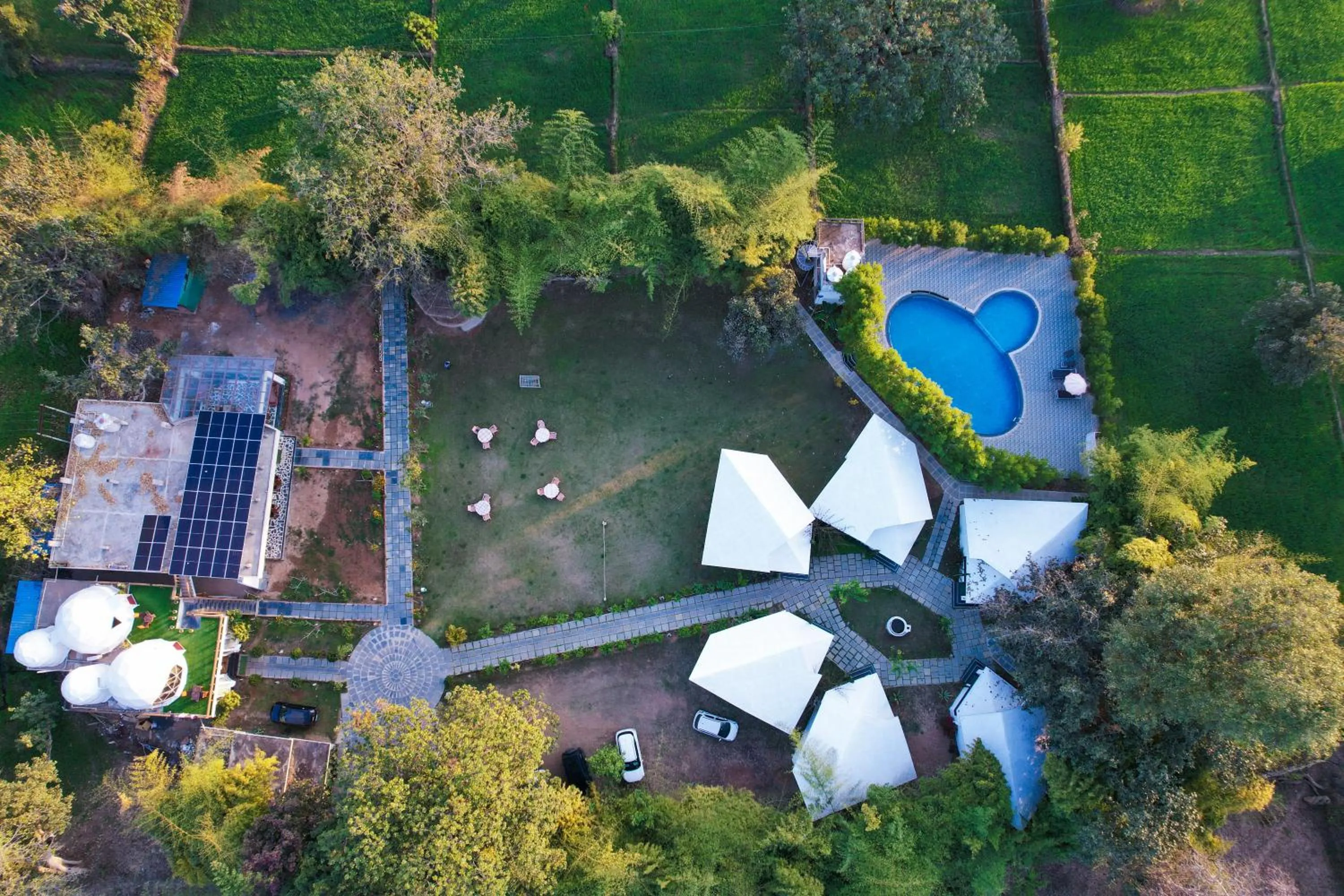 Bird's eye view in Olive