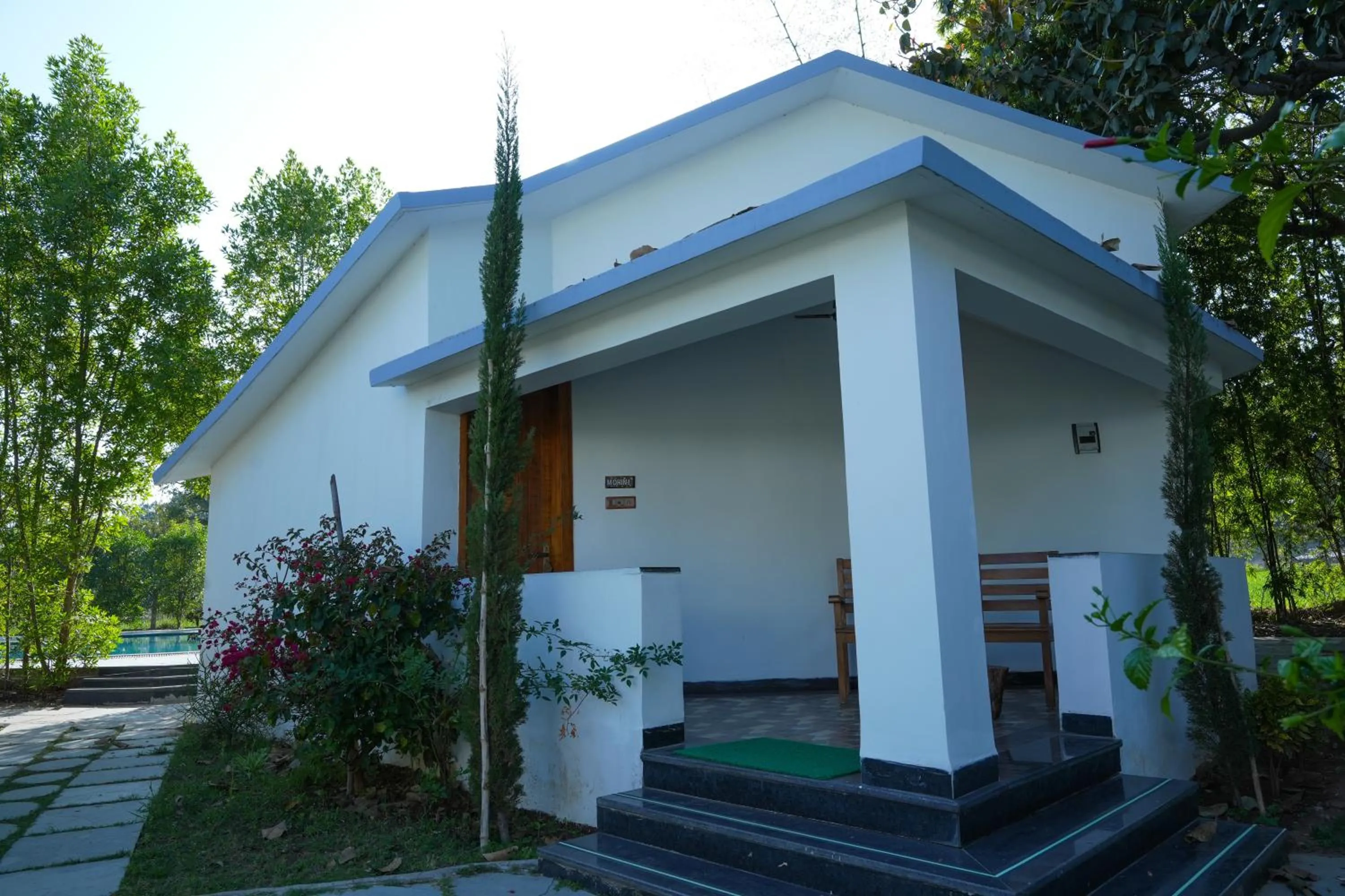 Facade/entrance in Olive