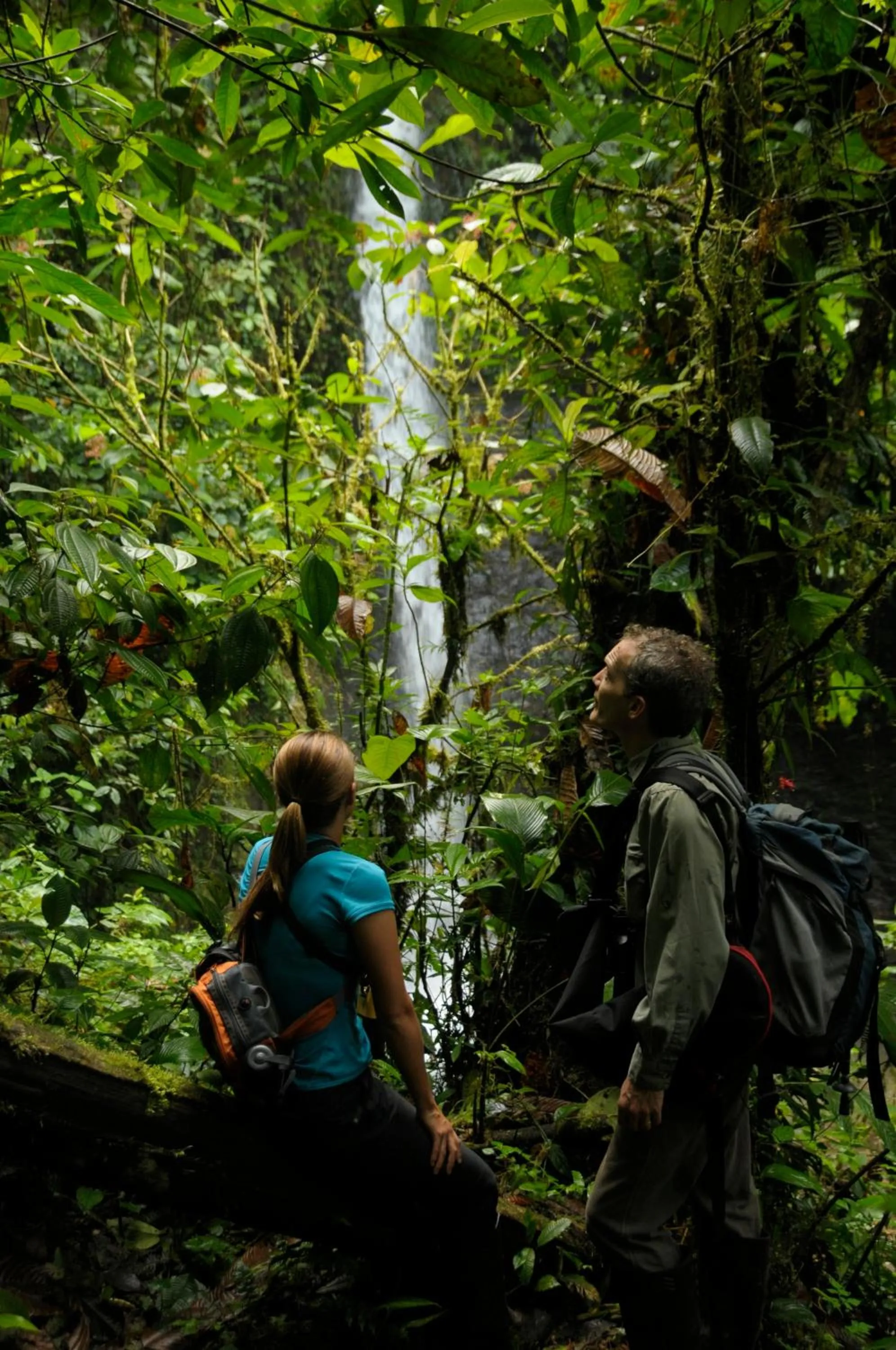 Hiking in Mashpi Lodge