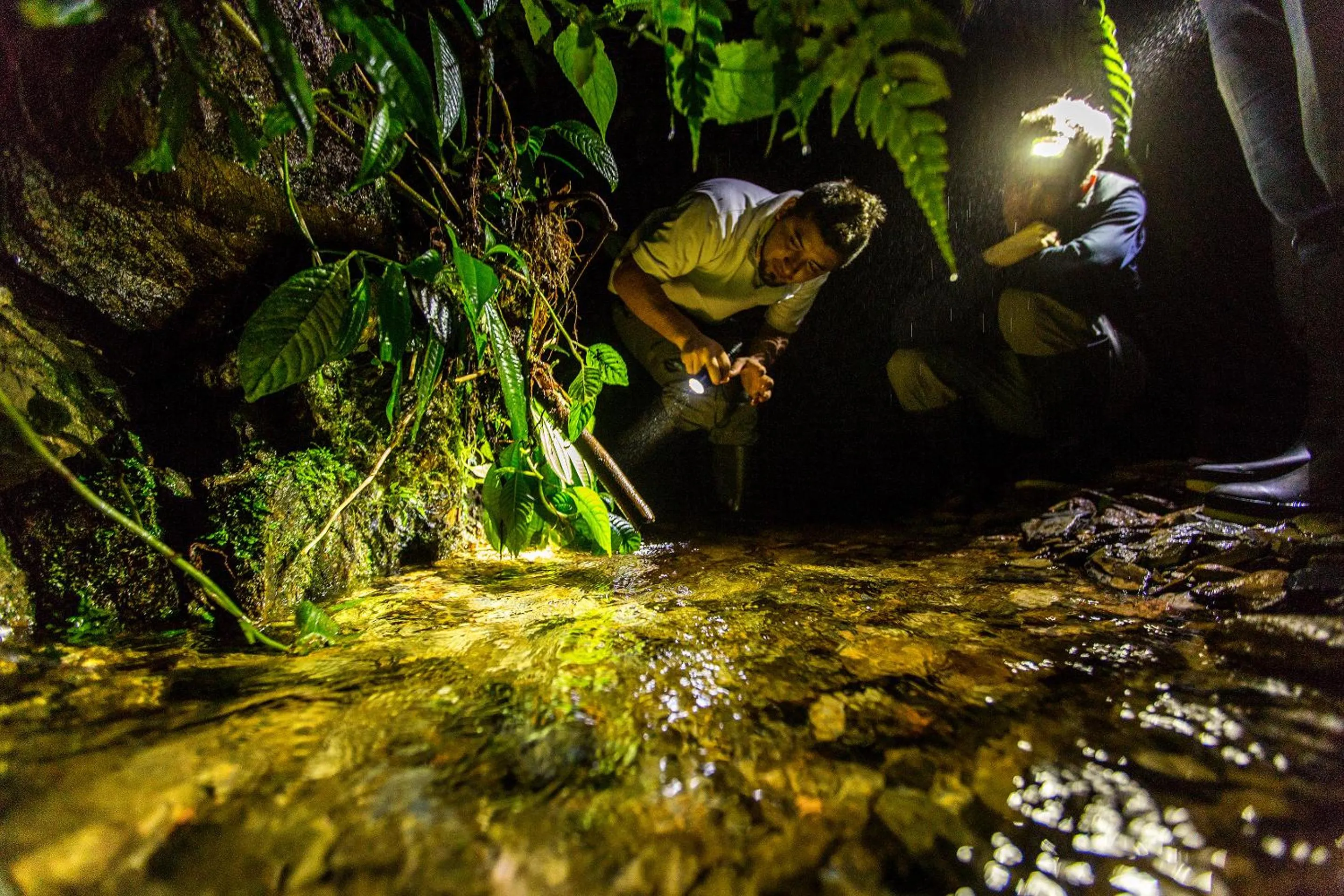 Hiking in Mashpi Lodge