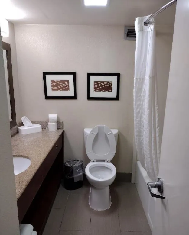 Toilet, Bathroom in Comfort Inn Jackson