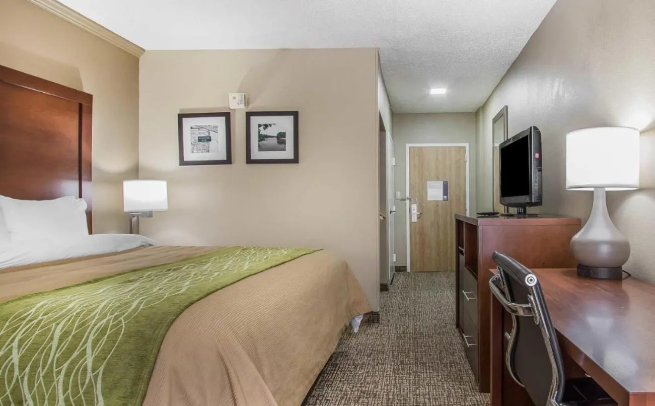 Photo of the whole room, Bed in Comfort Inn Jackson