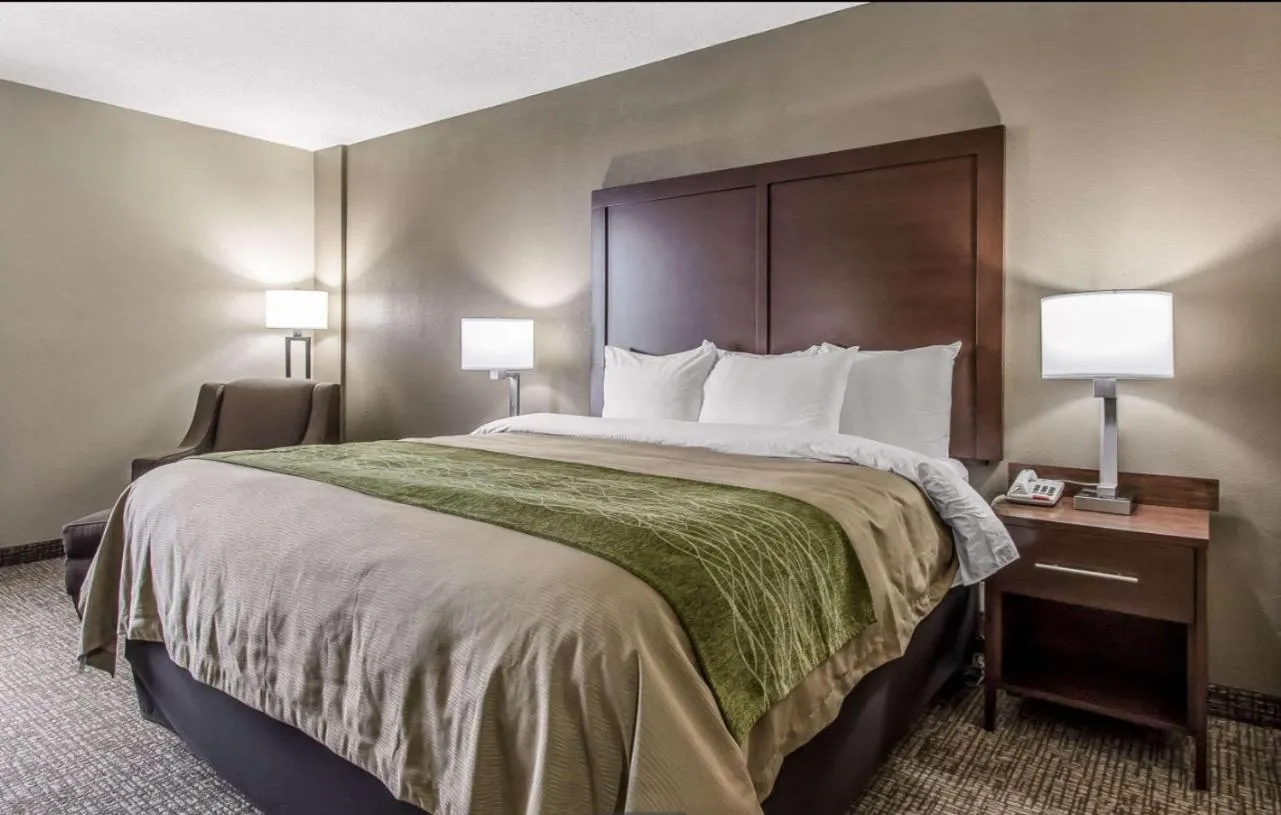 Bed in Comfort Inn Jackson
