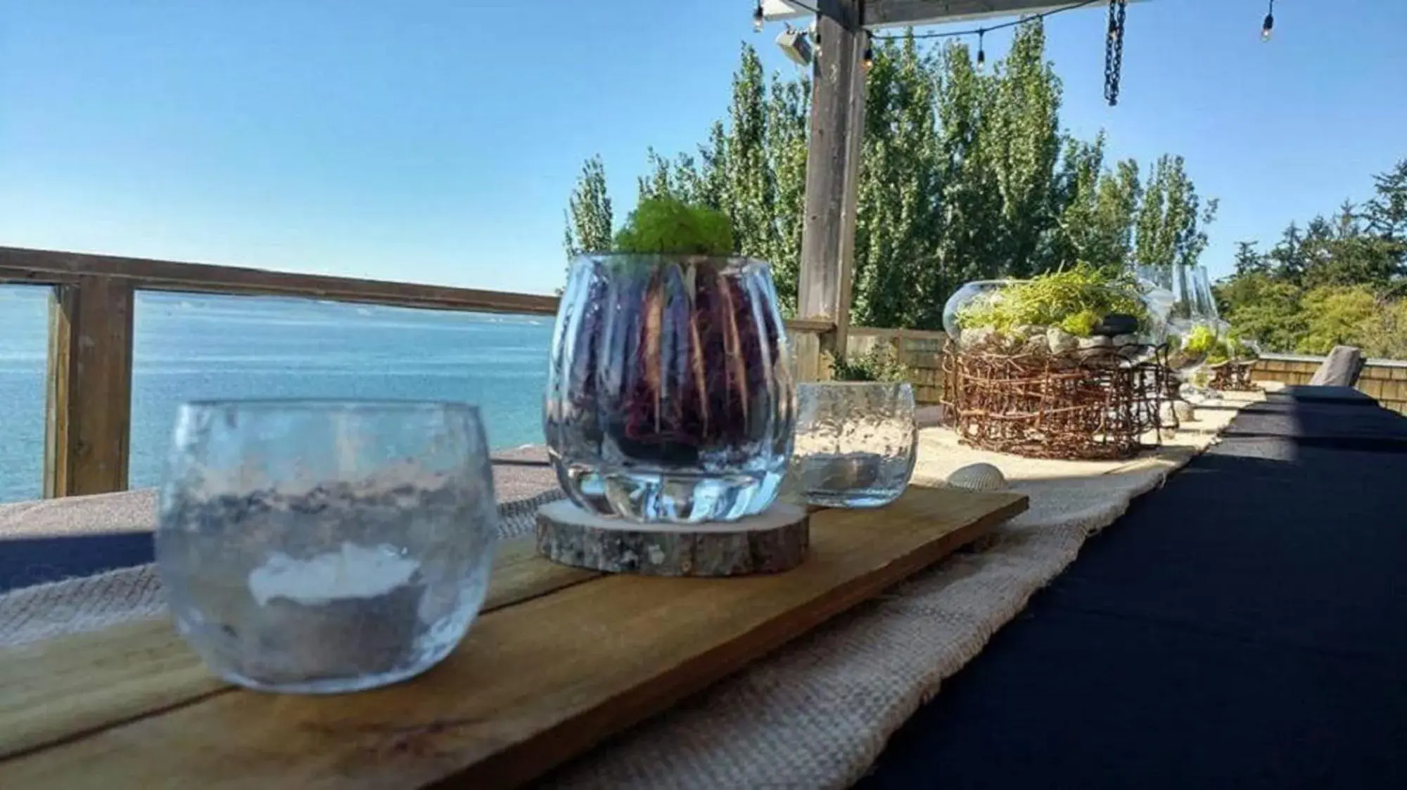 View (from property/room) in Camano Island Inn View (from property/room) in Camano Island Inn