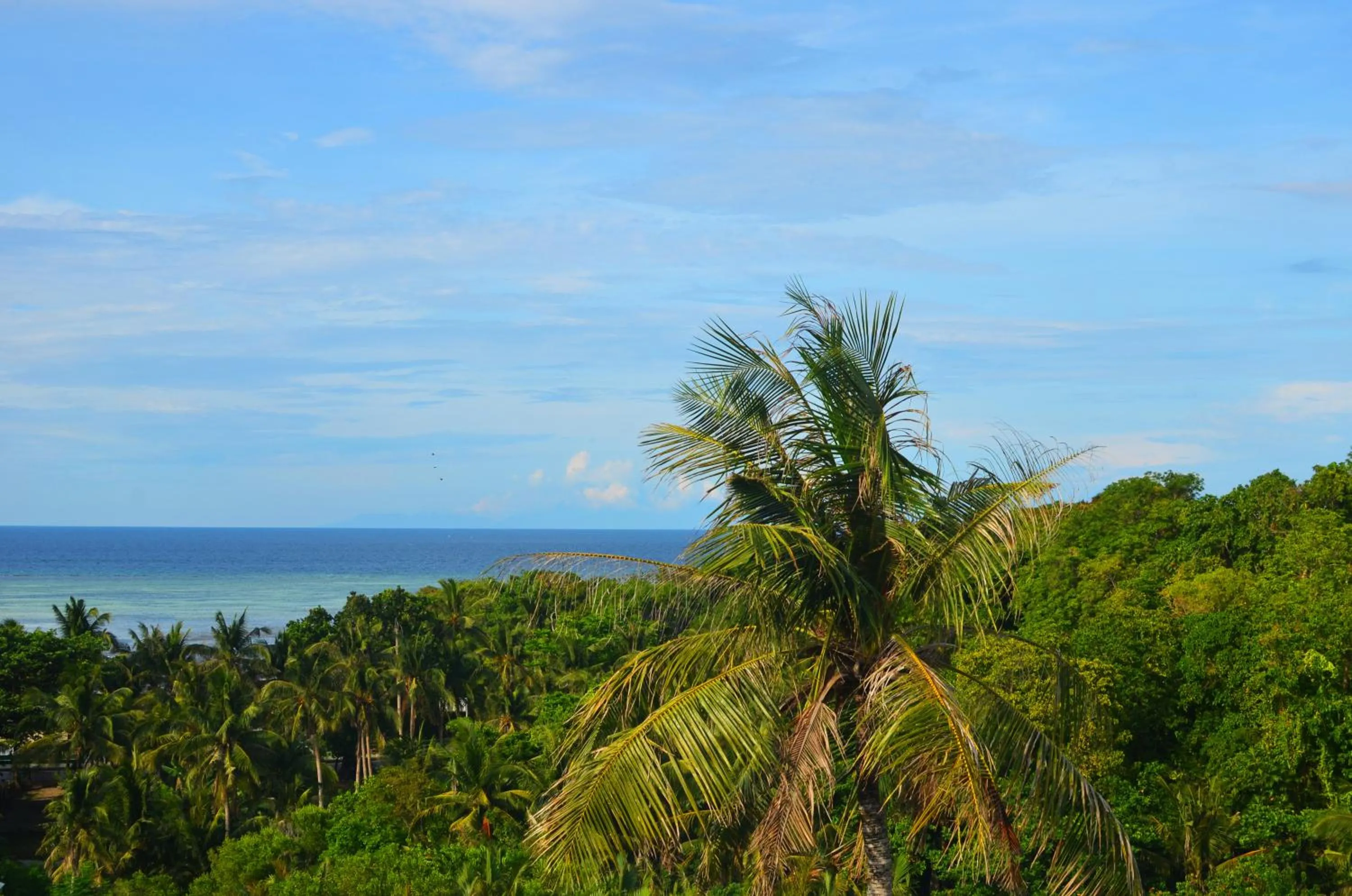 Natural landscape in Biancas Garden Apartments Boracay