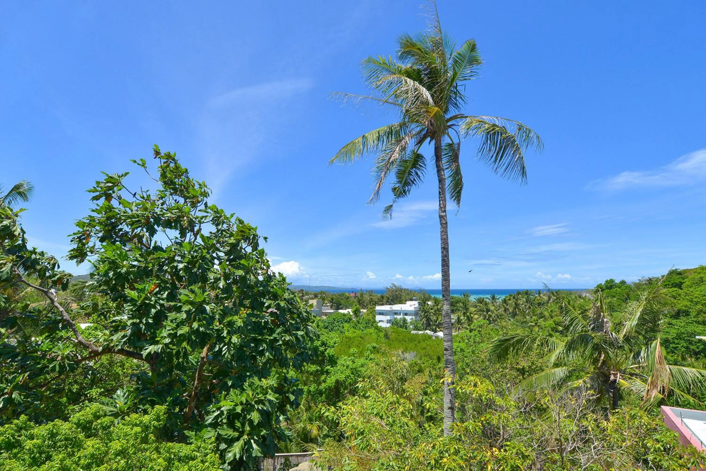 Garden in Biancas Garden Apartments Boracay