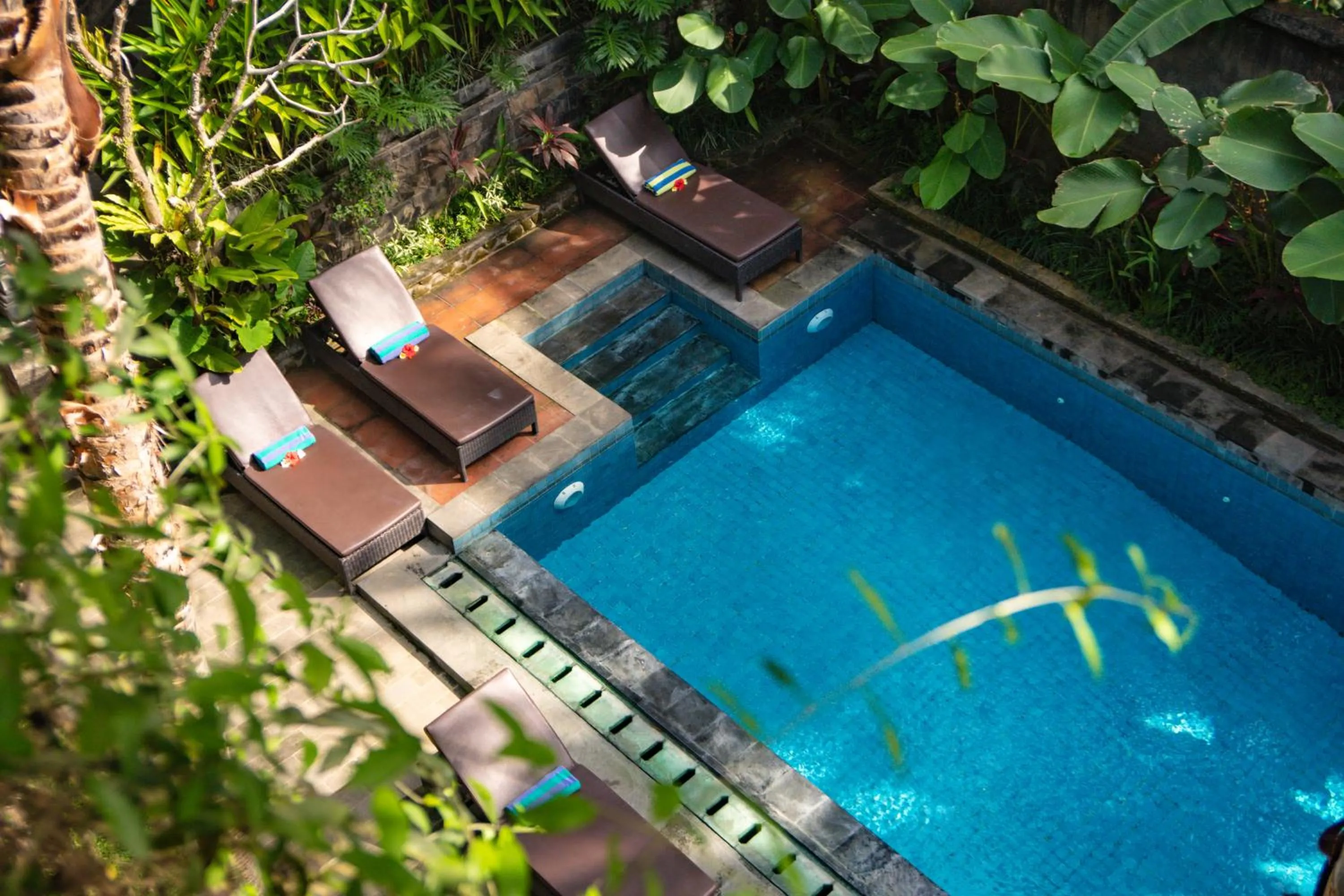 Pool view in Alam Terrace Cottages