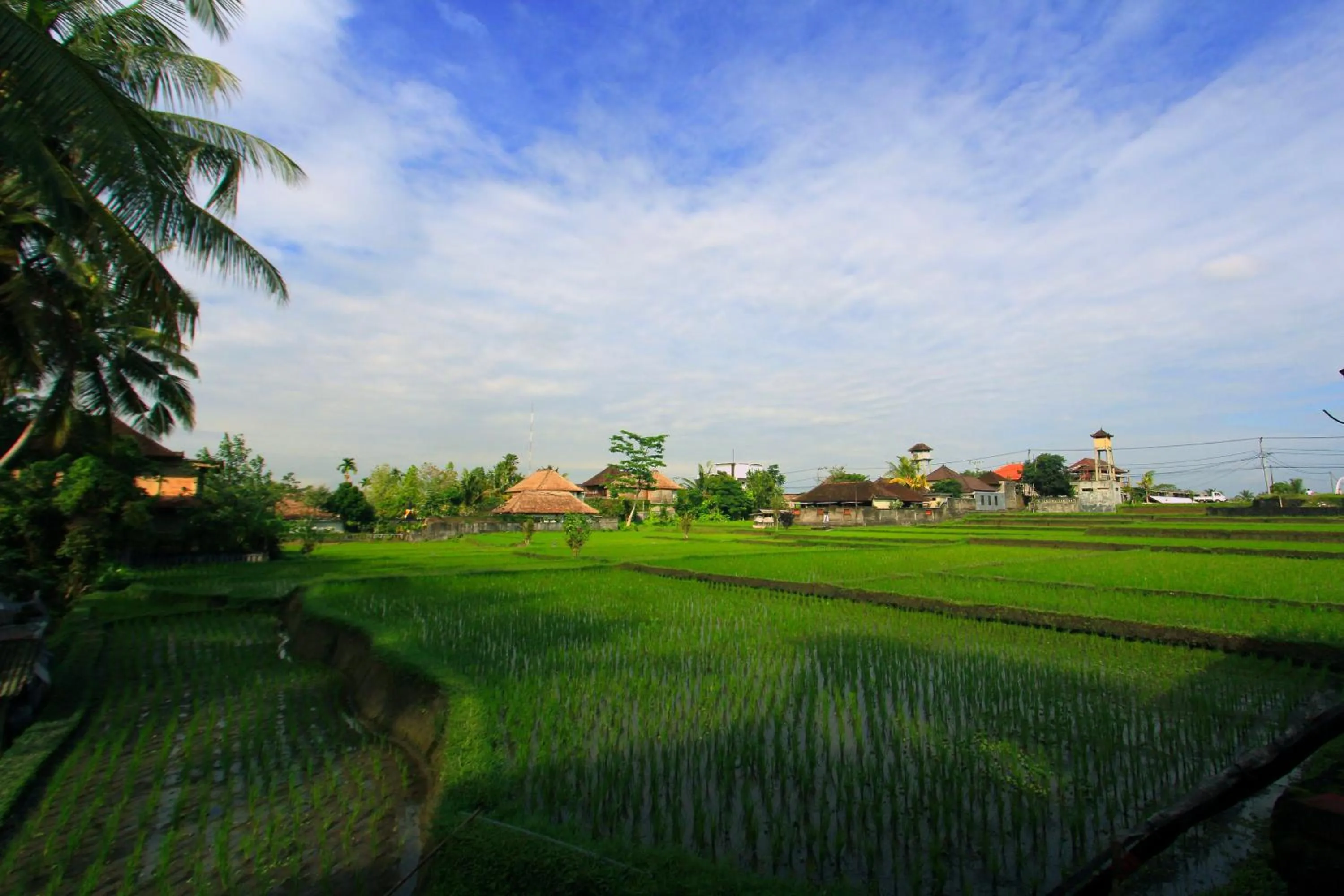 View (from property/room) in Alam Terrace Cottages