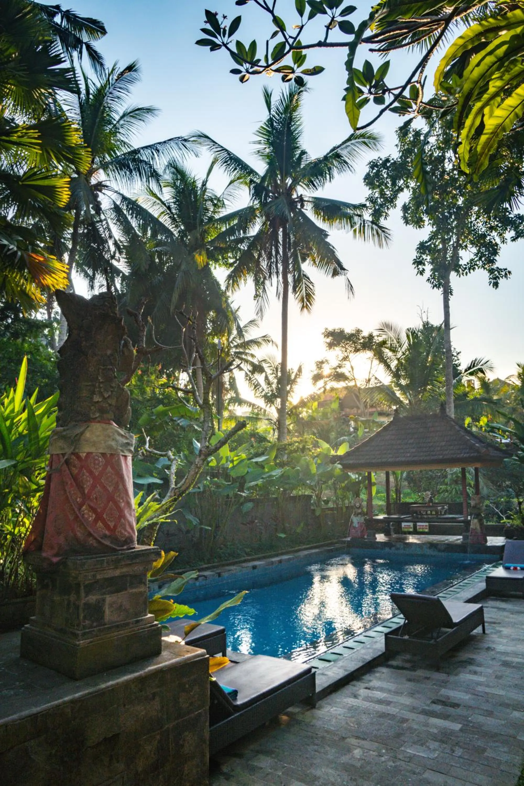 Garden in Alam Terrace Cottages