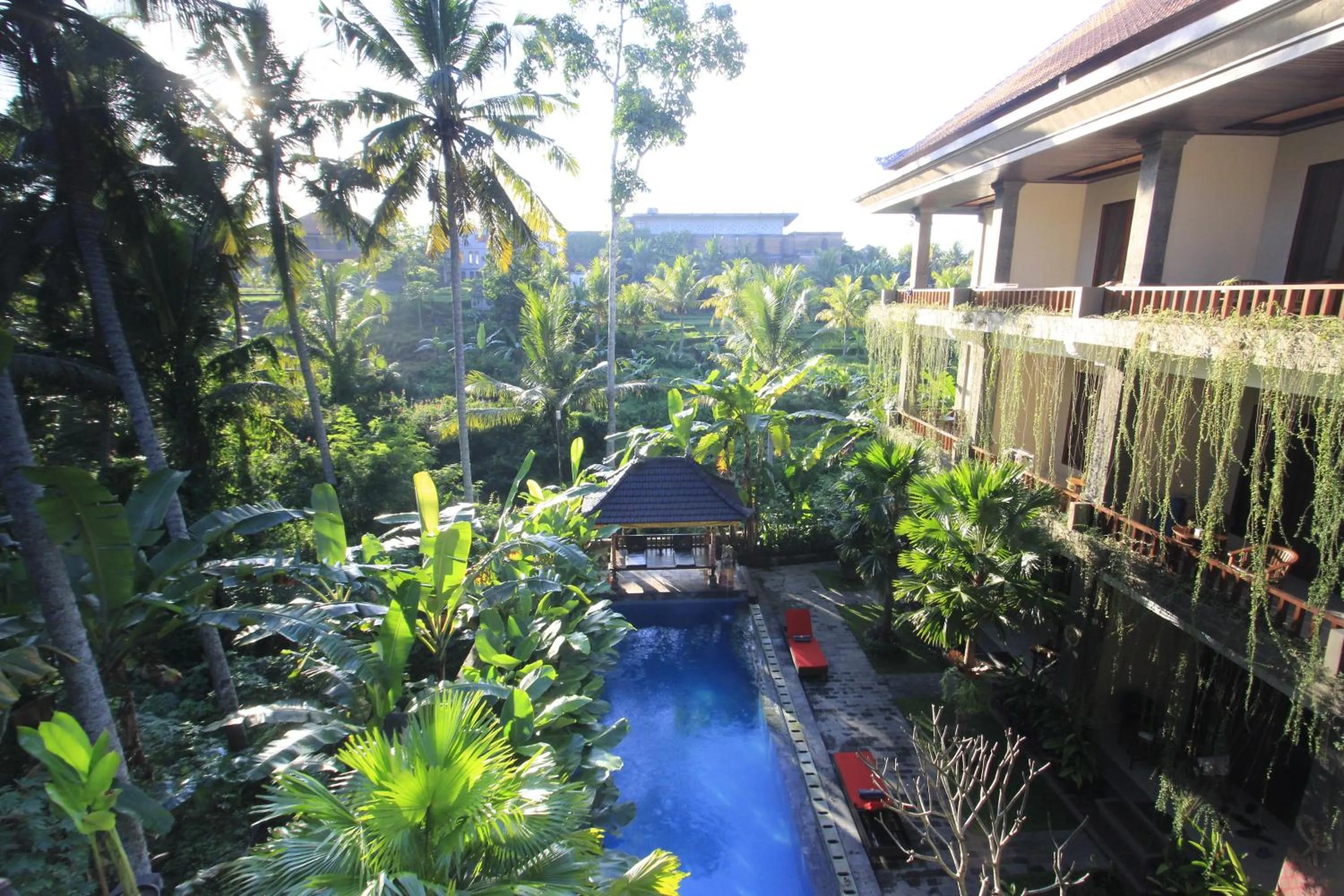 Swimming pool in Alam Terrace Cottages