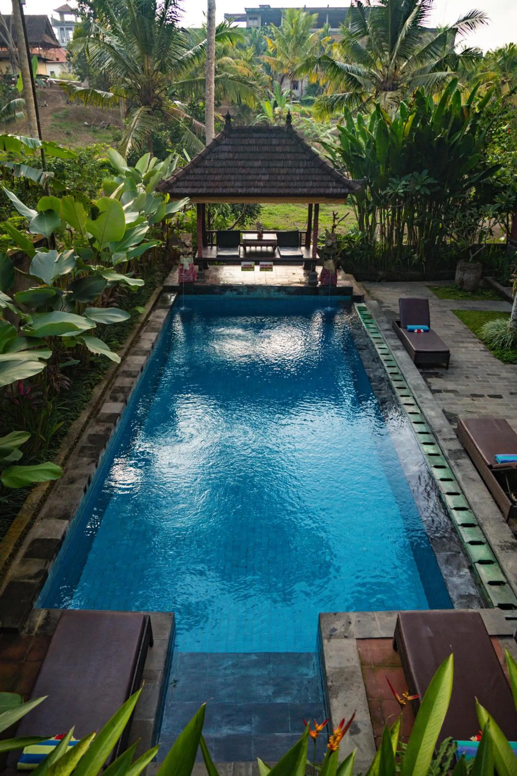 Garden in Alam Terrace Cottages