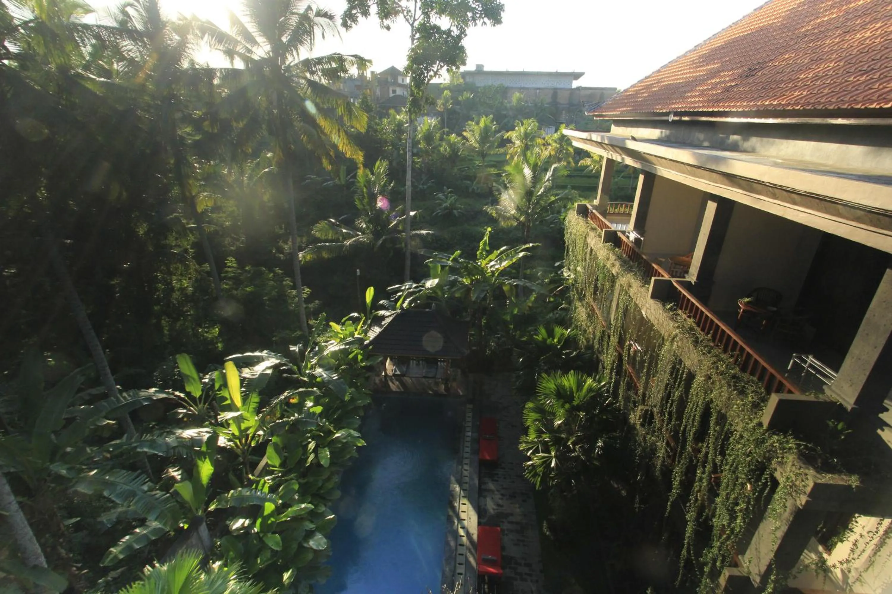 Day in Alam Terrace Cottages