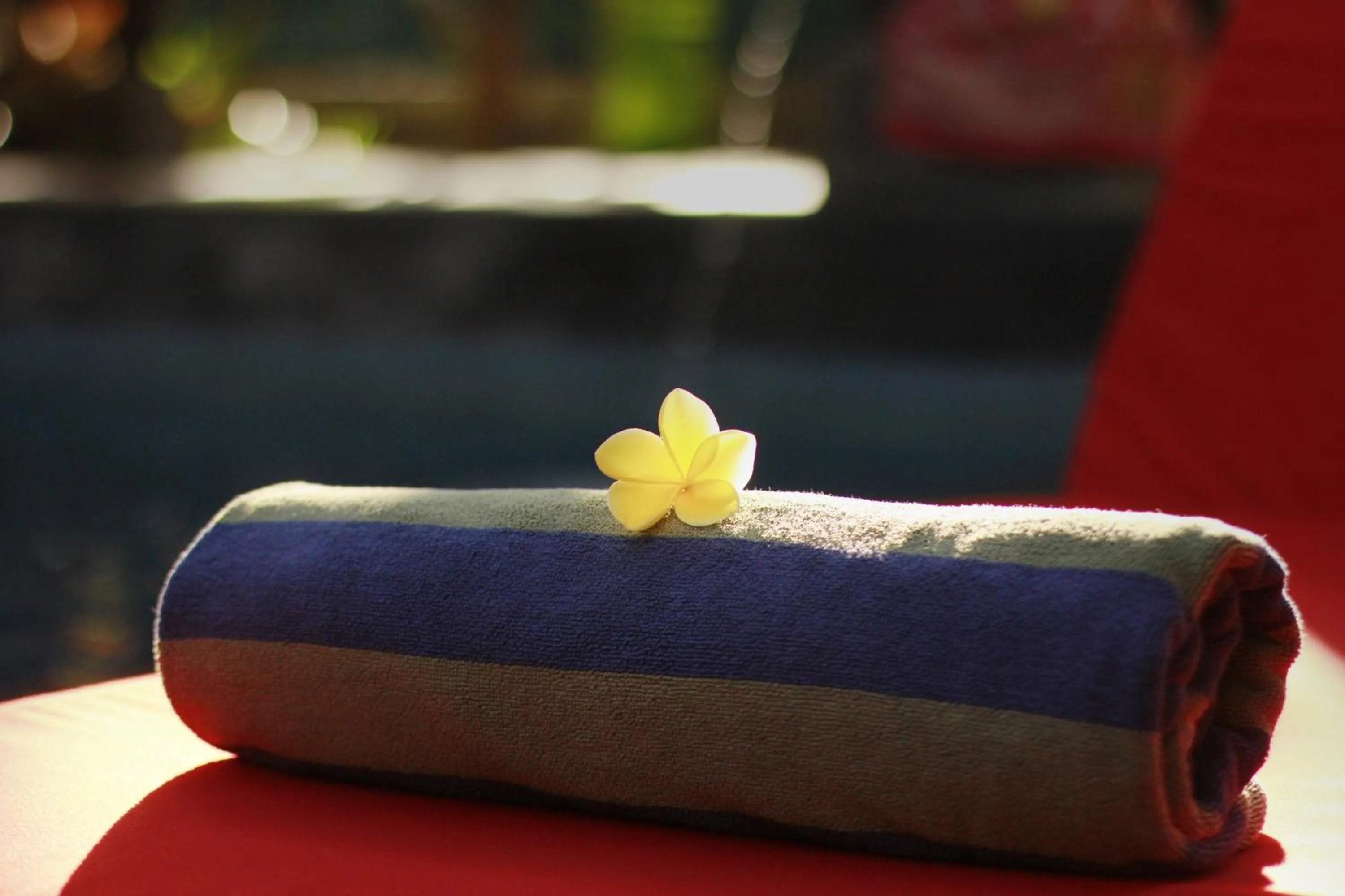 Day in Alam Terrace Cottages