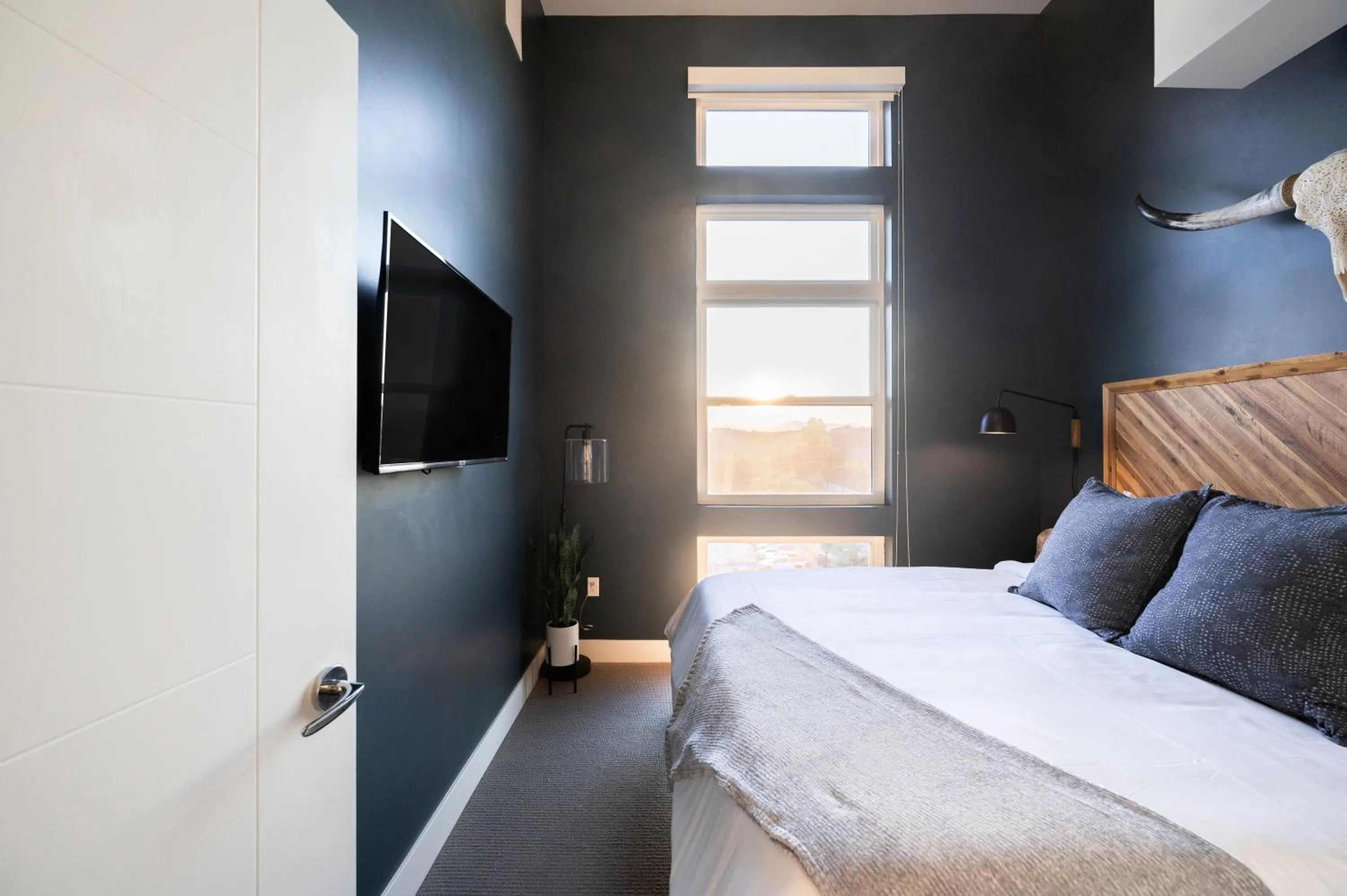 Bed in Bold & Elevated | Espadin LoHi