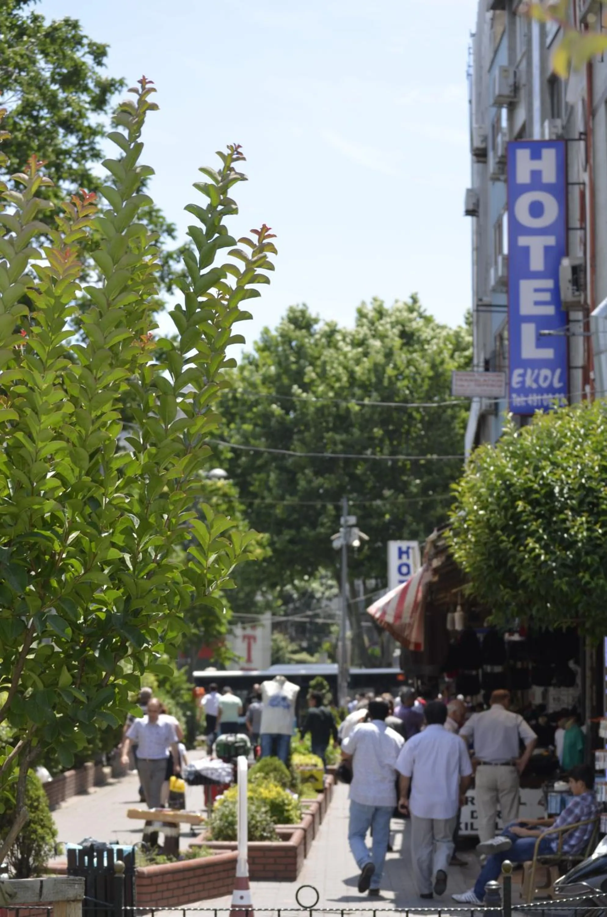 Natural landscape in Hotel Ekol