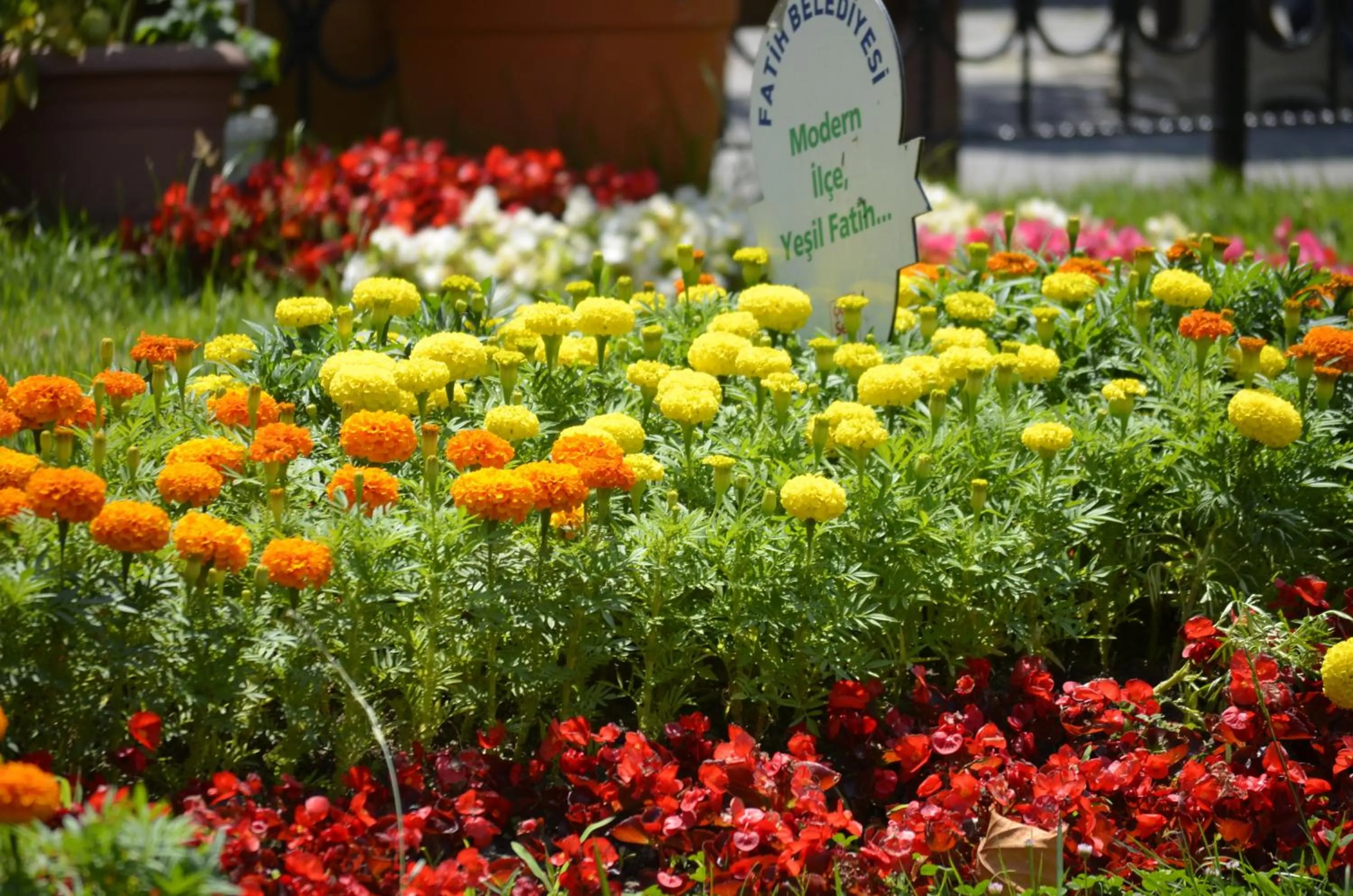 Natural landscape in Hotel Ekol