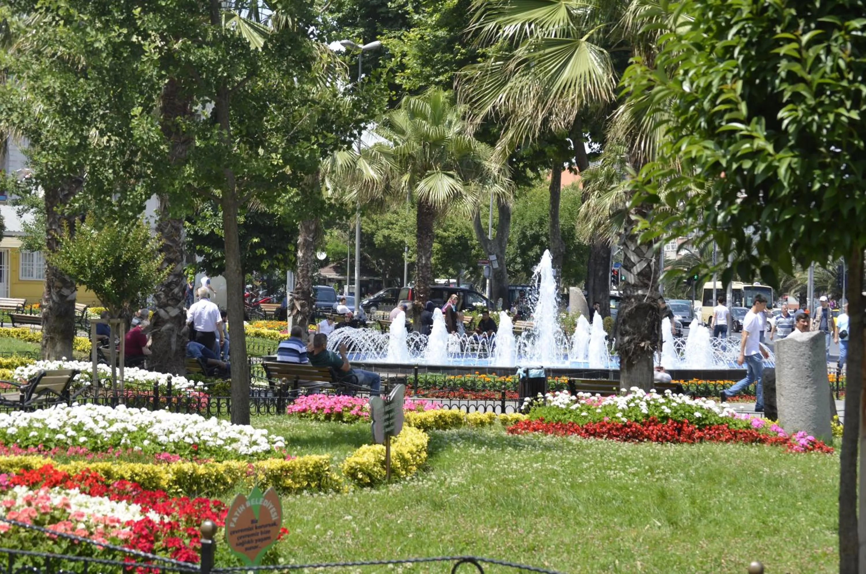 Natural landscape in Hotel Ekol