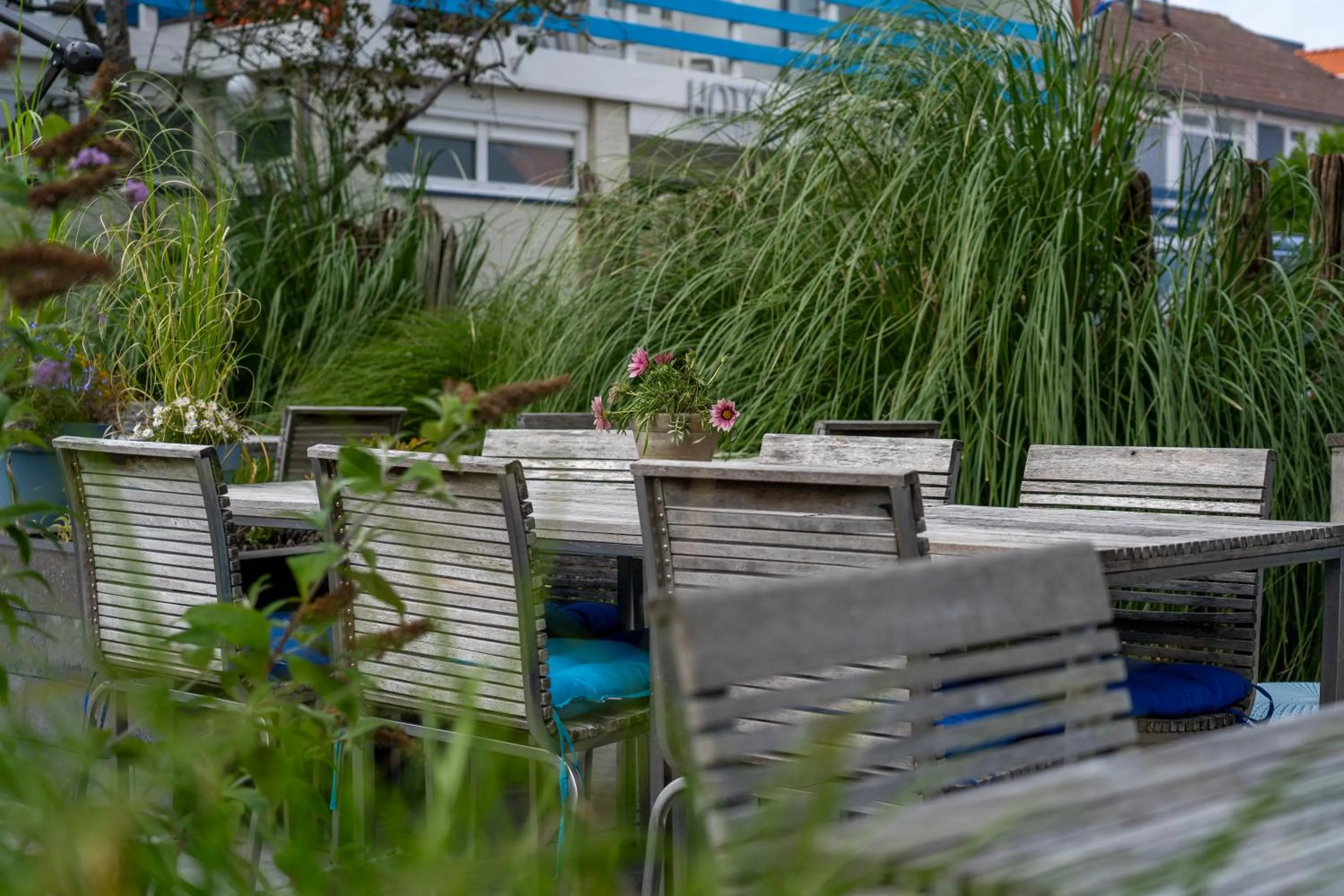 Garden in Hotel Kijkduin